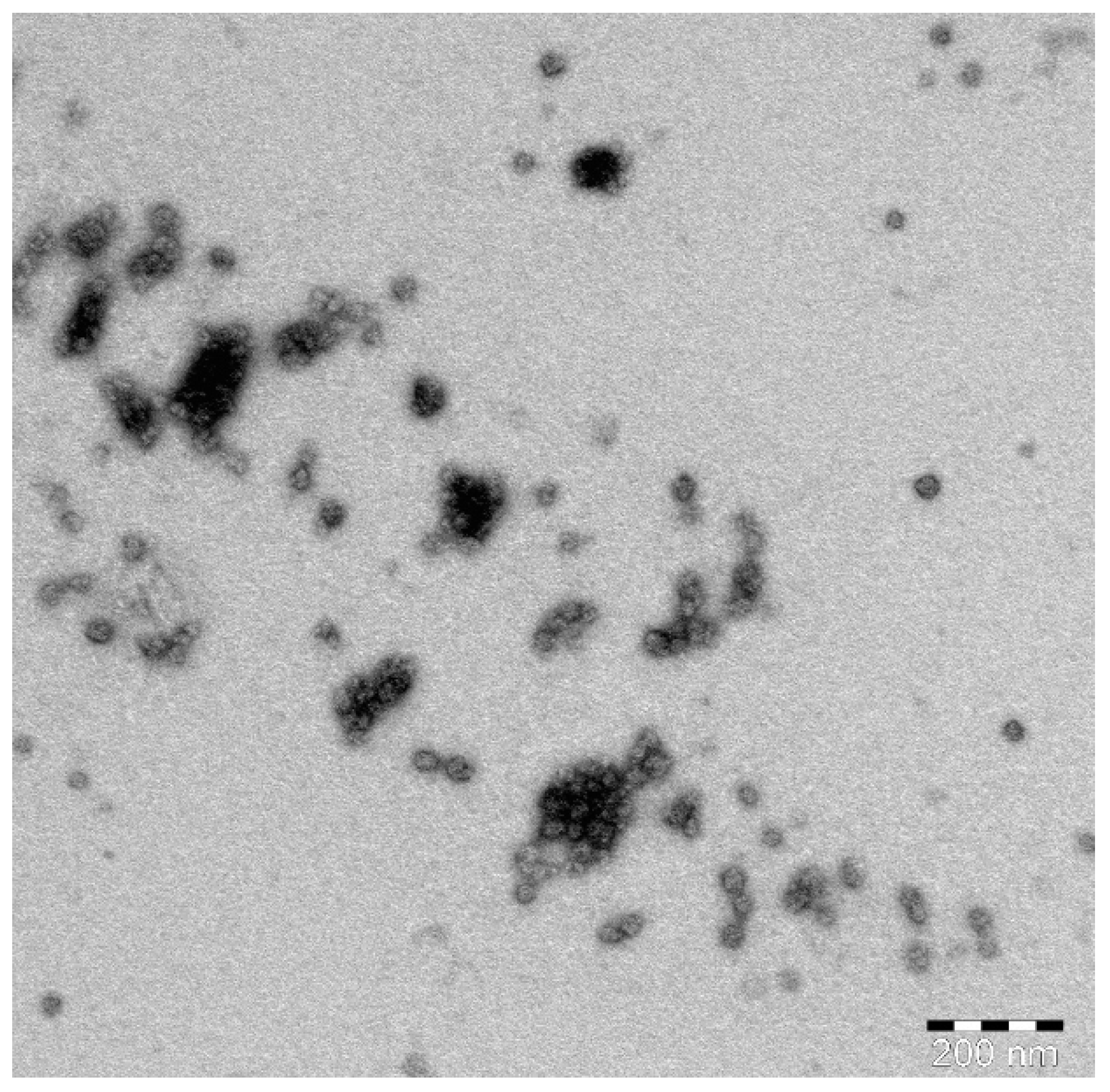 Pharmaceuticals 14 00178 g005