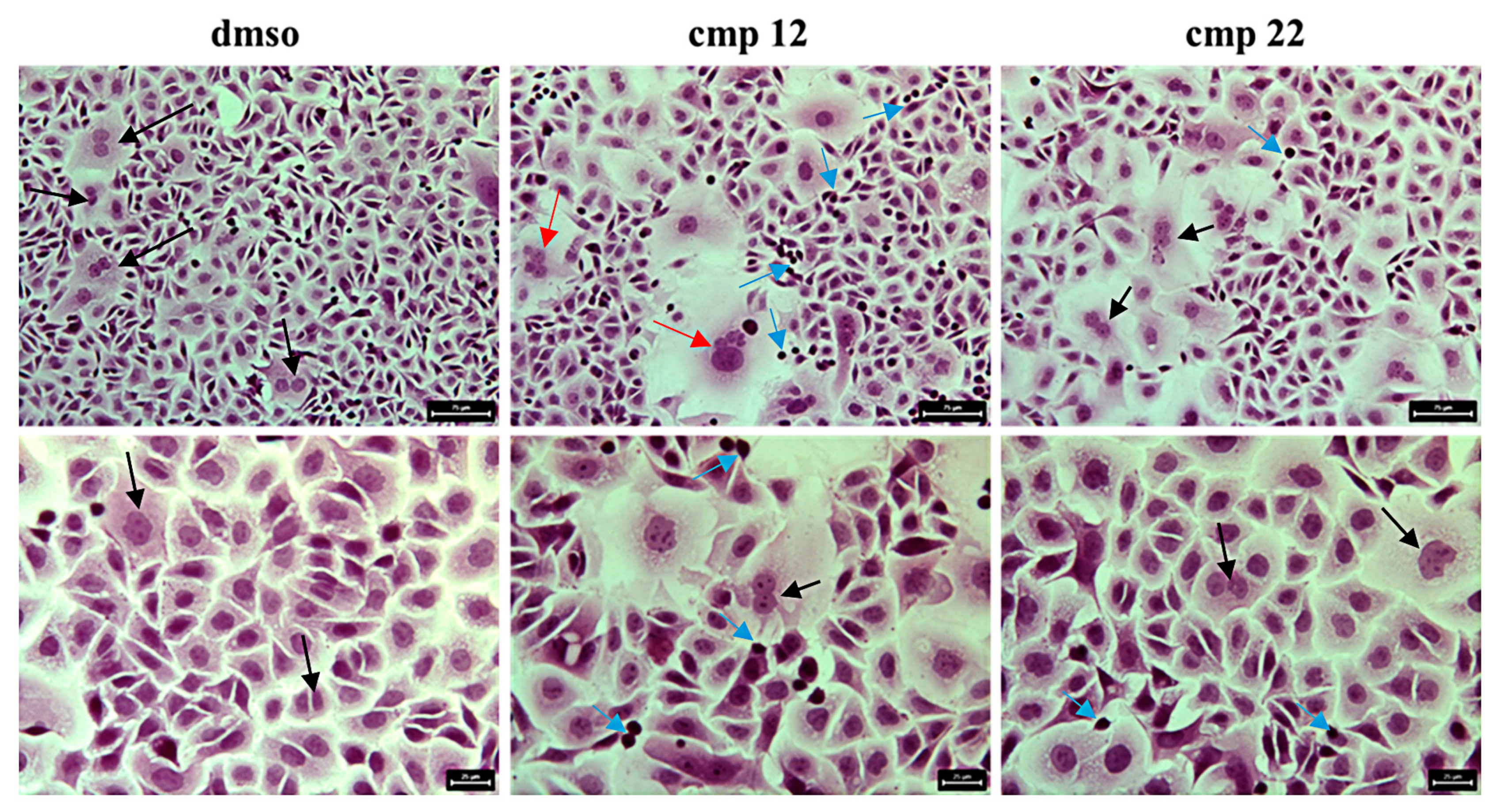 Pharmaceuticals 14 00183 g006