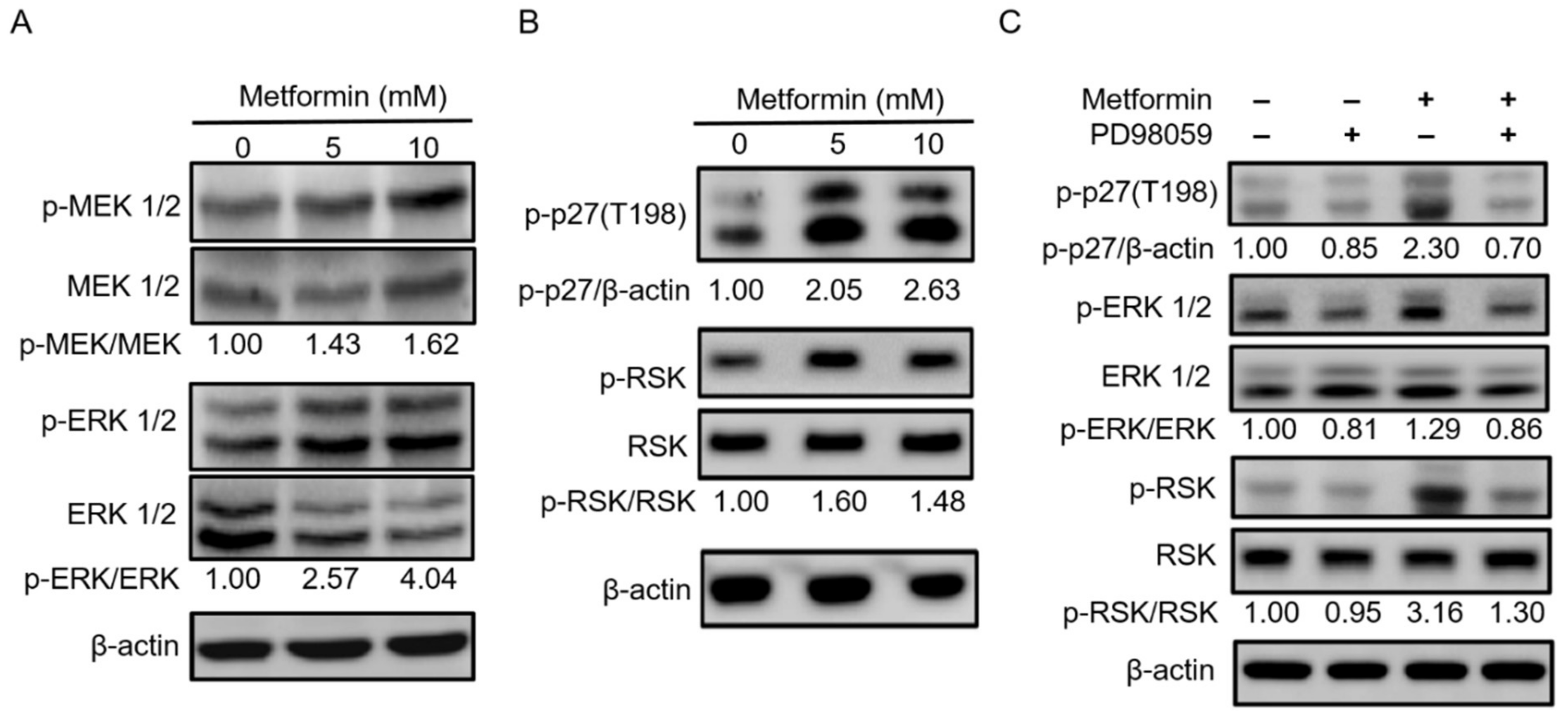 Pharmaceuticals 14 00191 g006 Pharmaceuticals 14 00191 g006