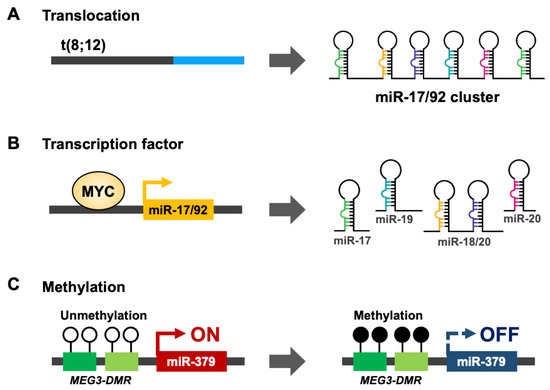 Aberrant Expression of microRNA Clusters in Head and Neck