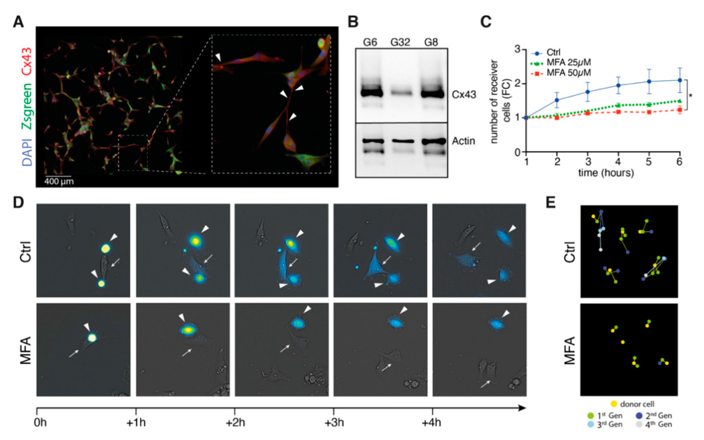 Pharmaceuticals 14 00195 g002 Pharmaceuticals 14 00195 g002
