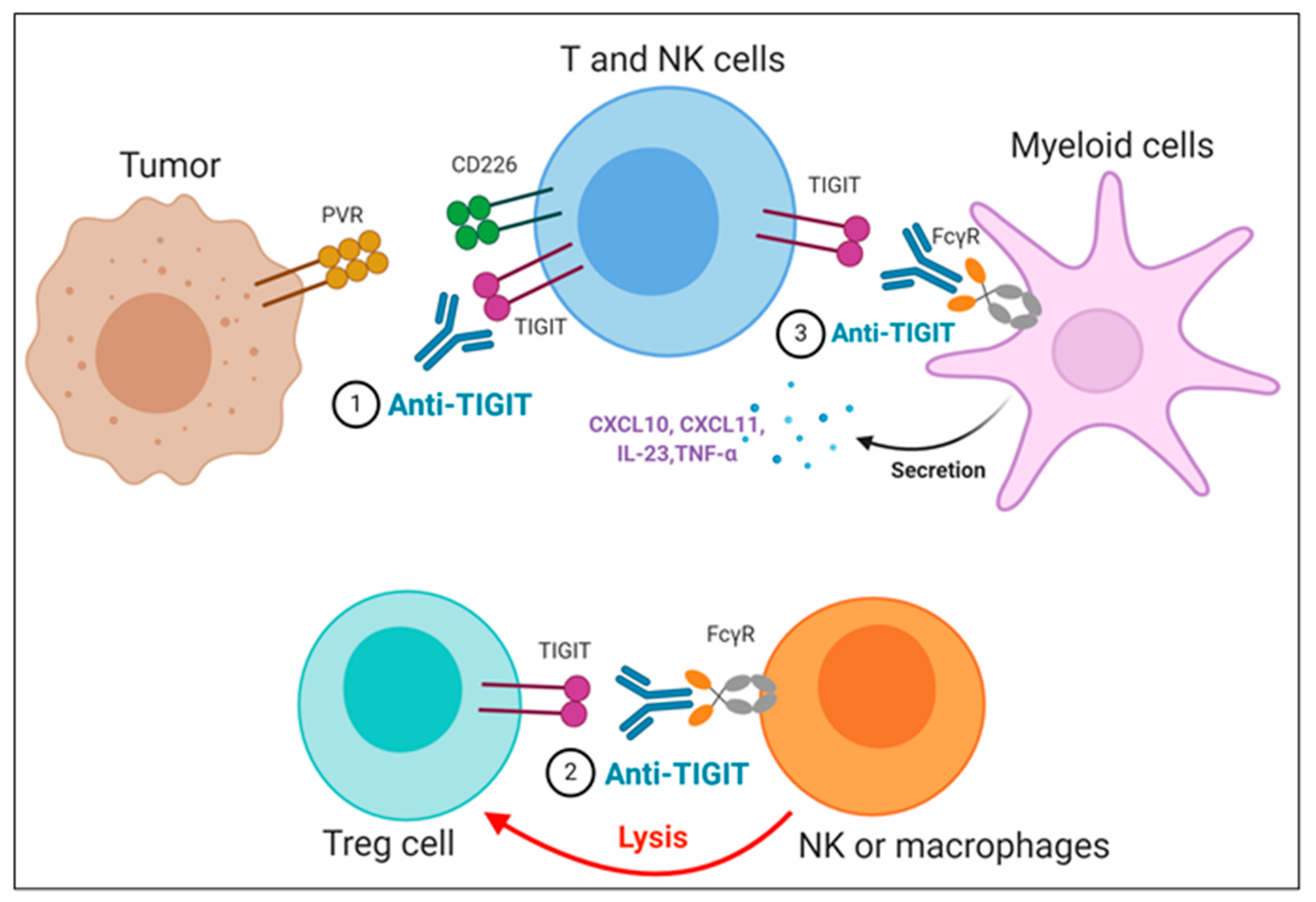 Pharmaceuticals 14 00200 g003