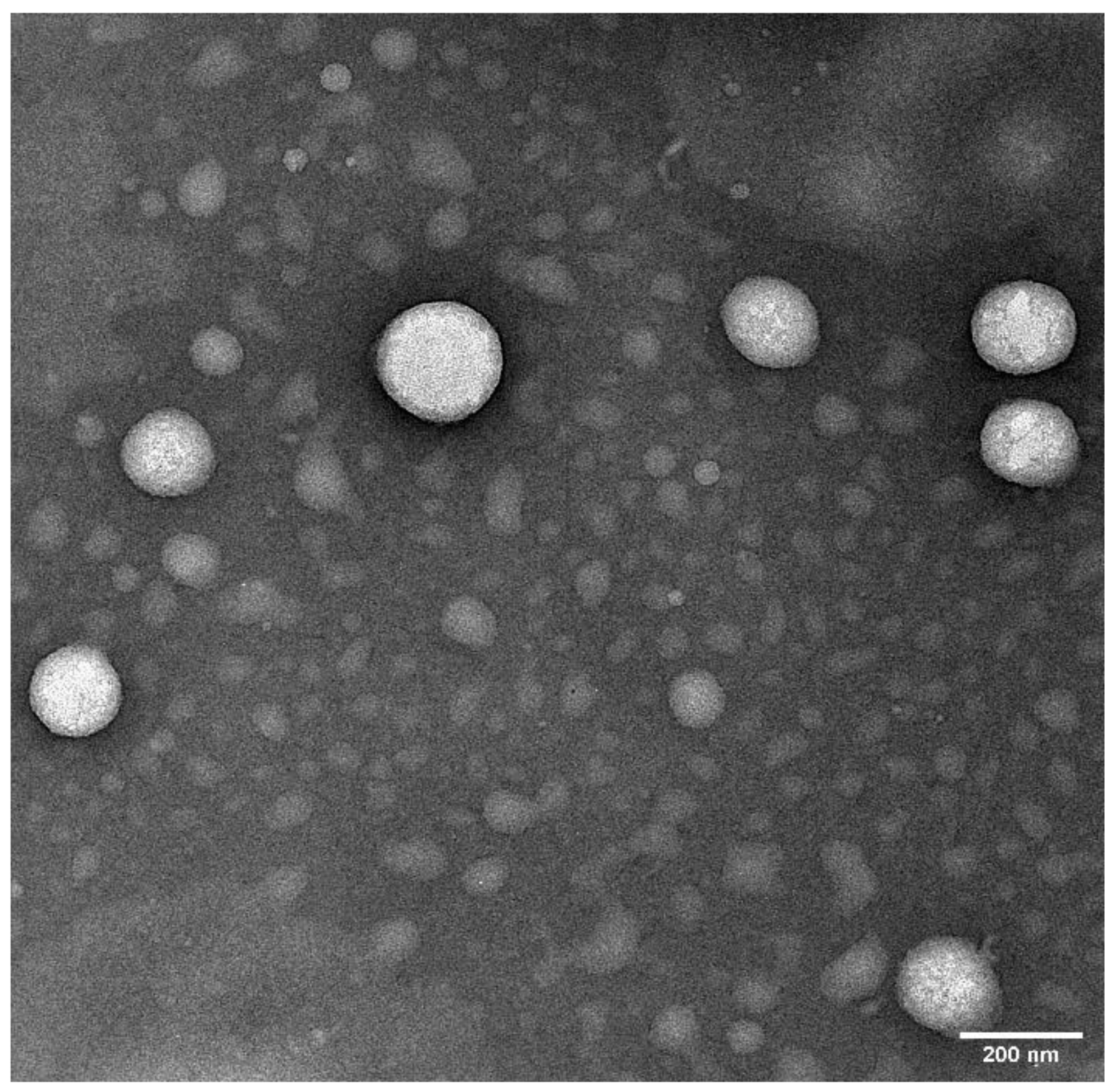 Pharmaceuticals 14 00210 g006