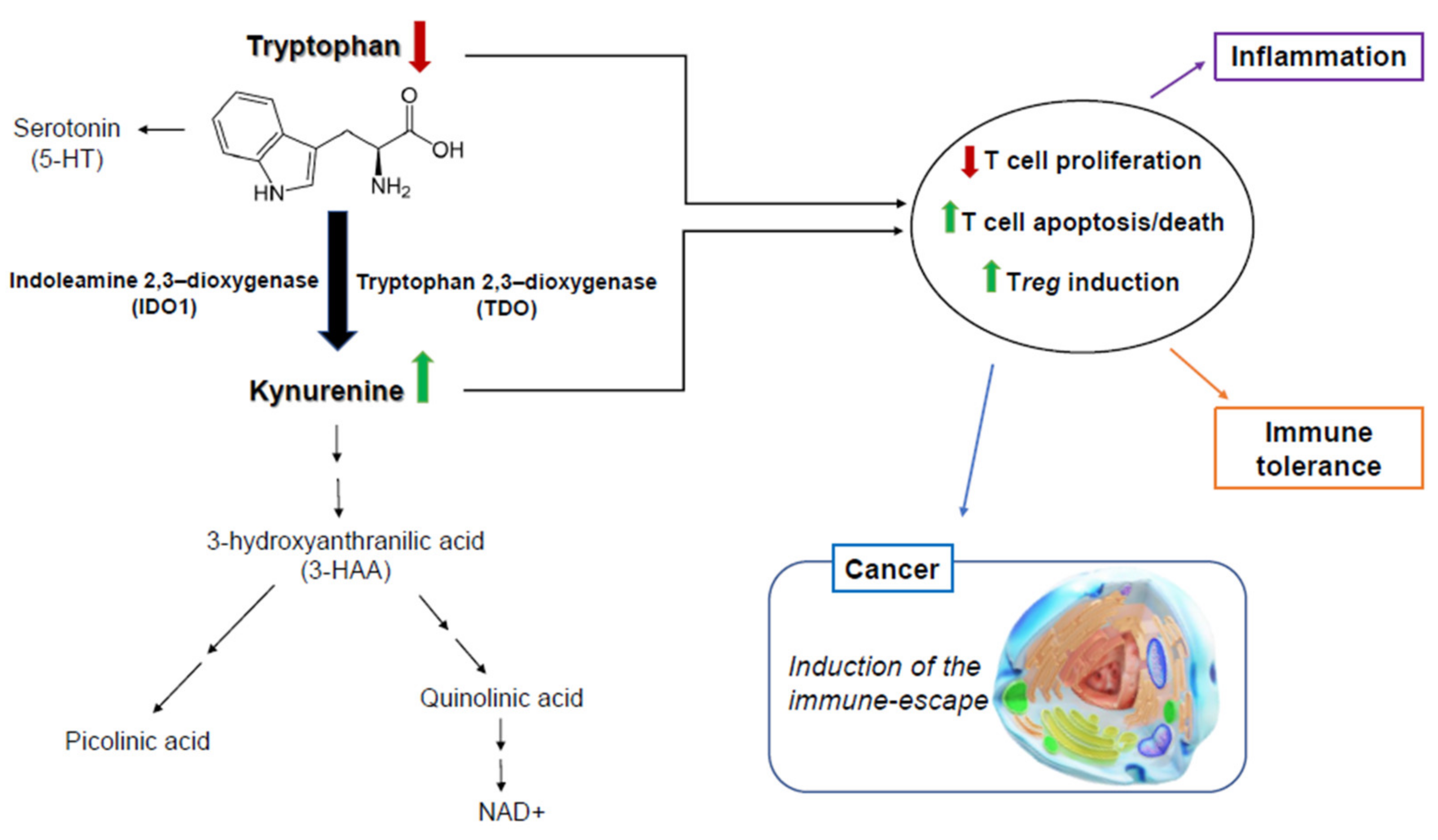 Pharmaceuticals 14 00211 g001