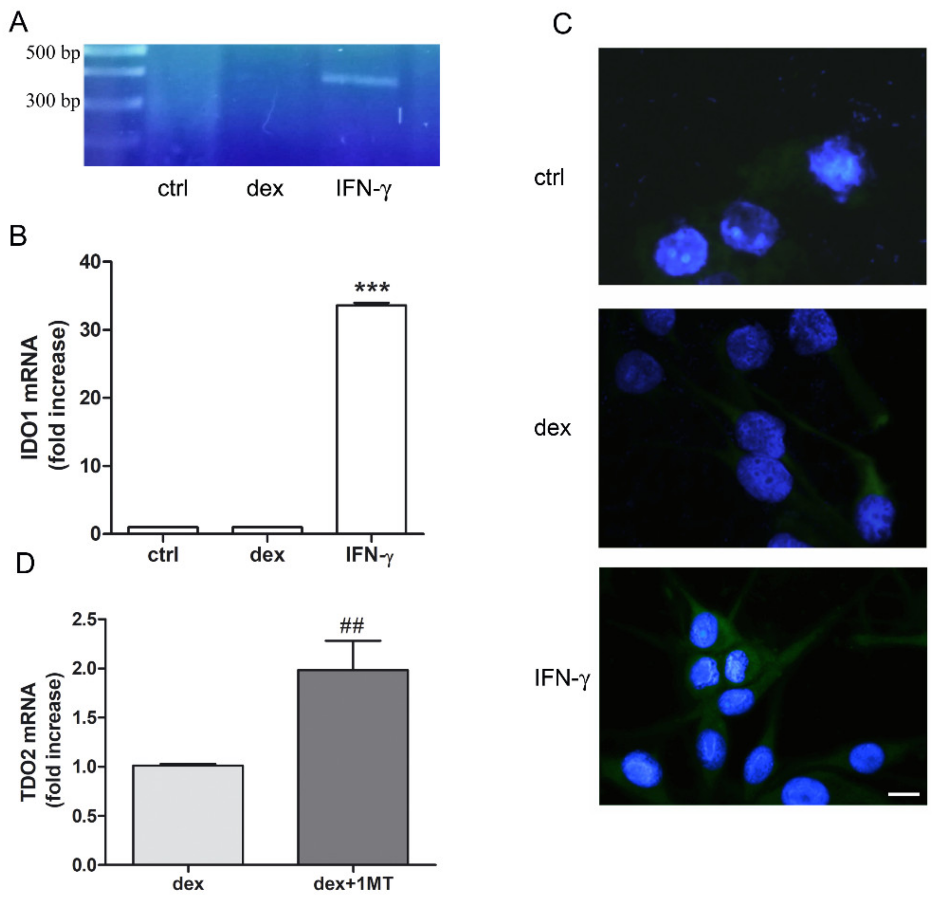 Pharmaceuticals 14 00211 g003