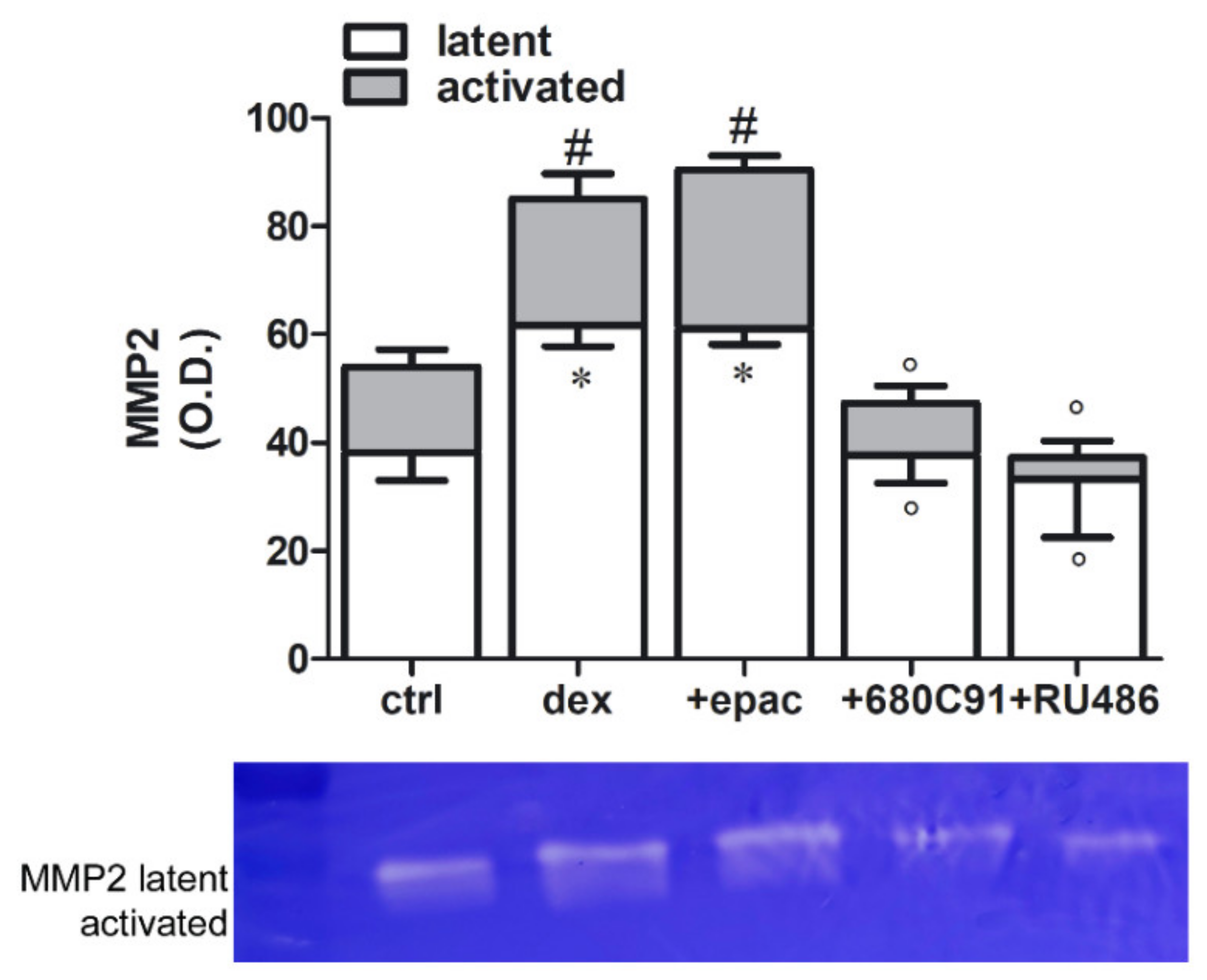 Pharmaceuticals 14 00211 g008
