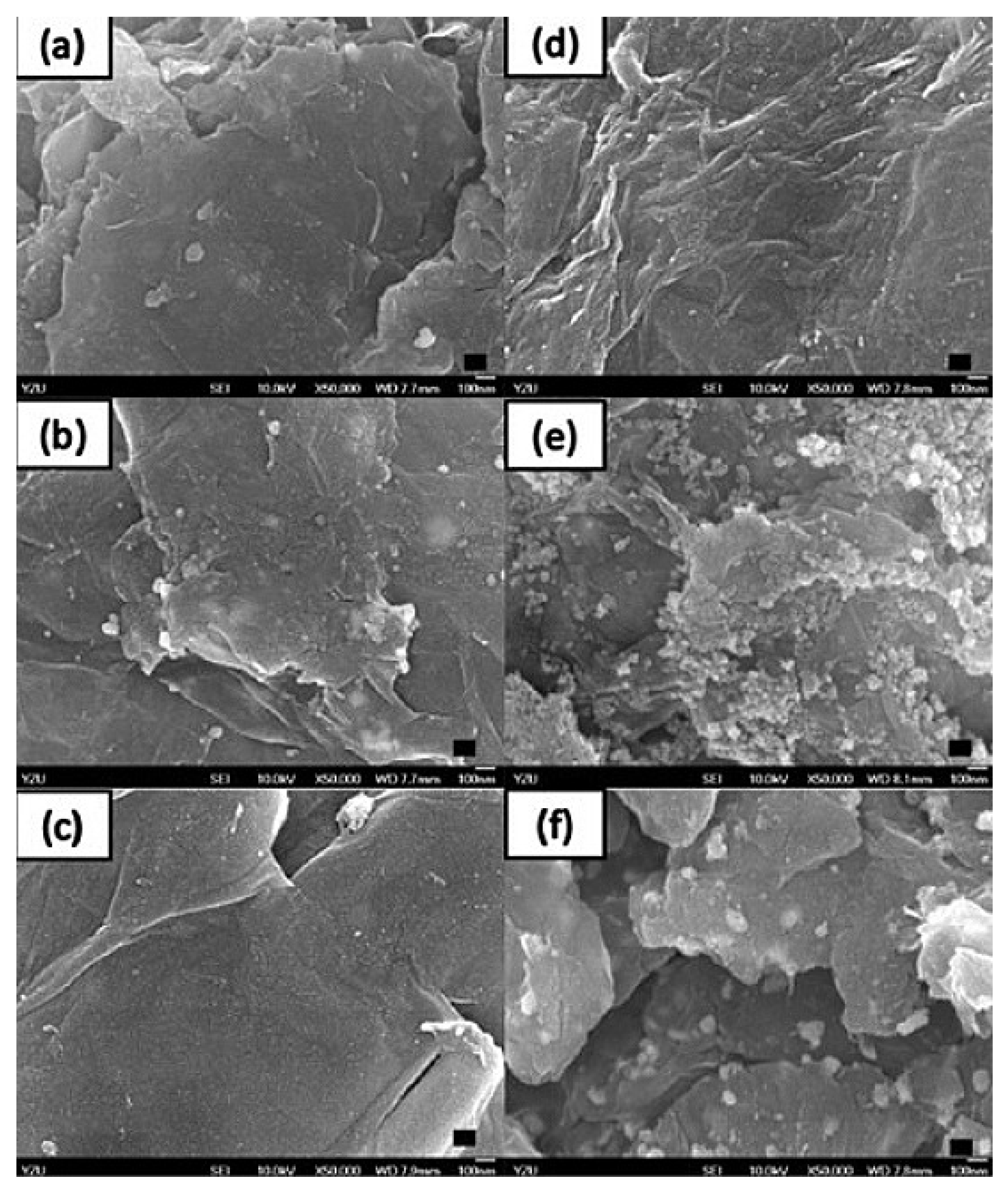 Pharmaceuticals 14 00215 g005