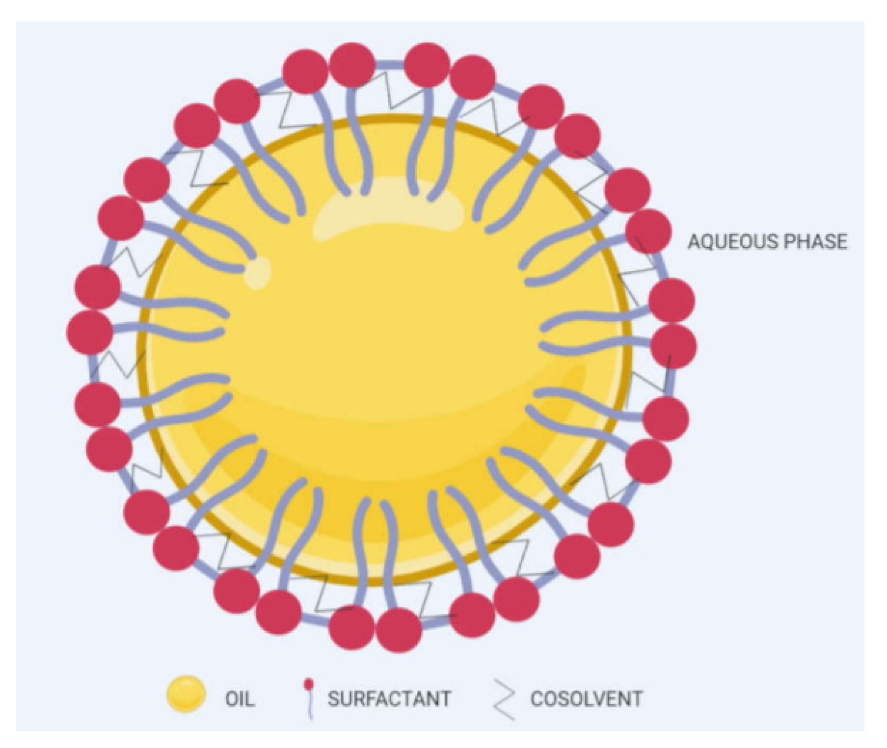 Pharmaceuticals 14 00215 g009