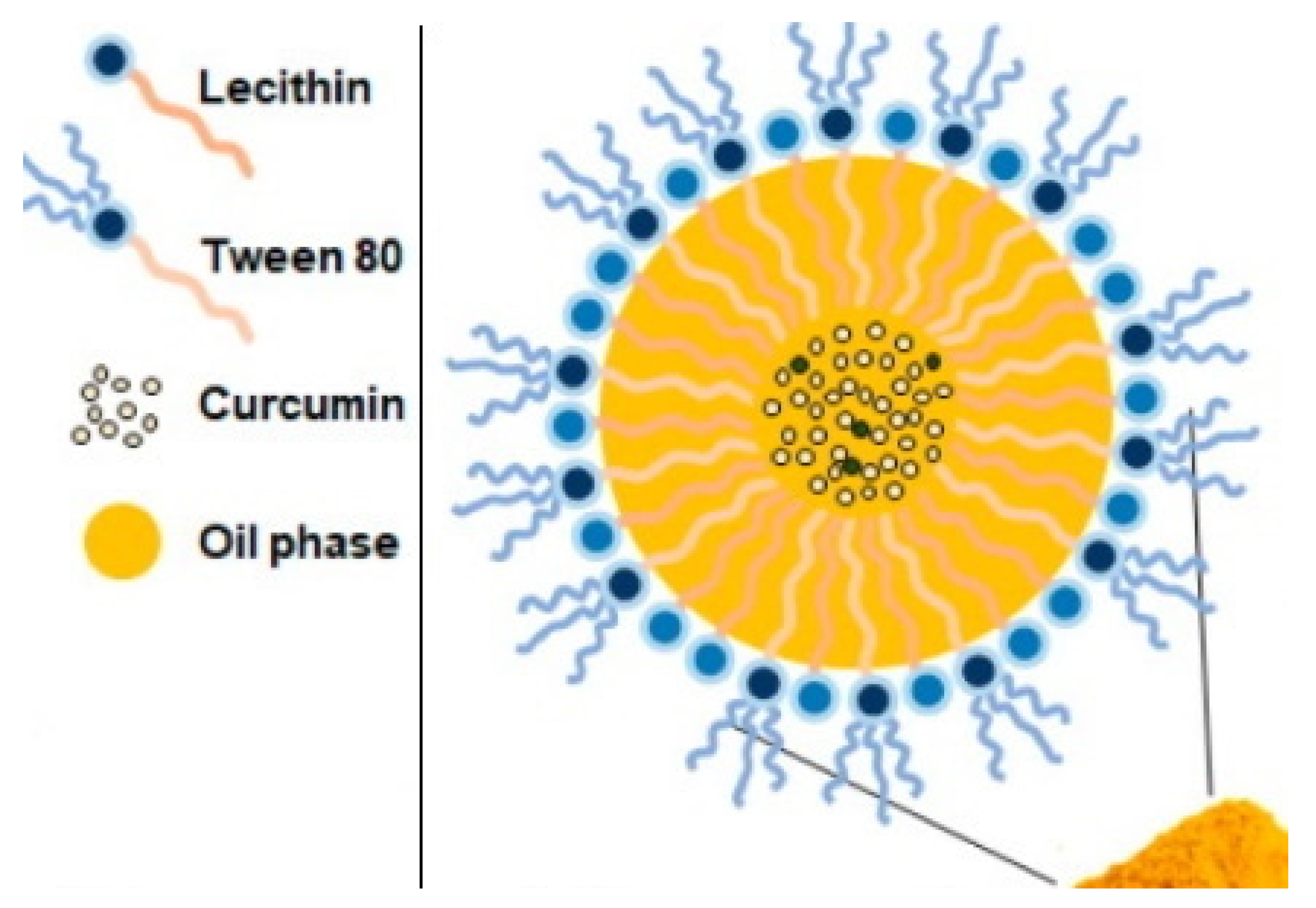 Pharmaceuticals 14 00215 g010