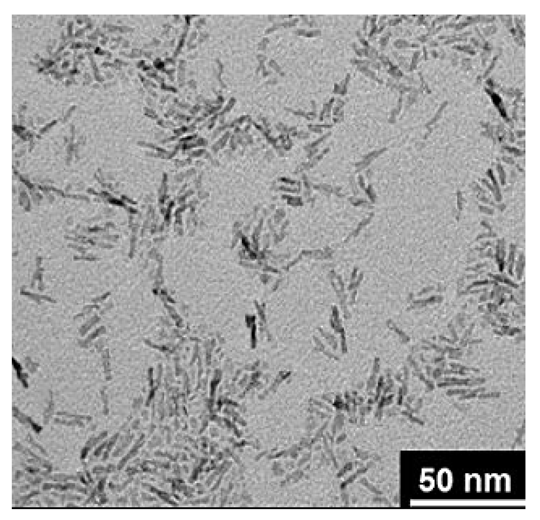 Pharmaceuticals 14 00215 g012