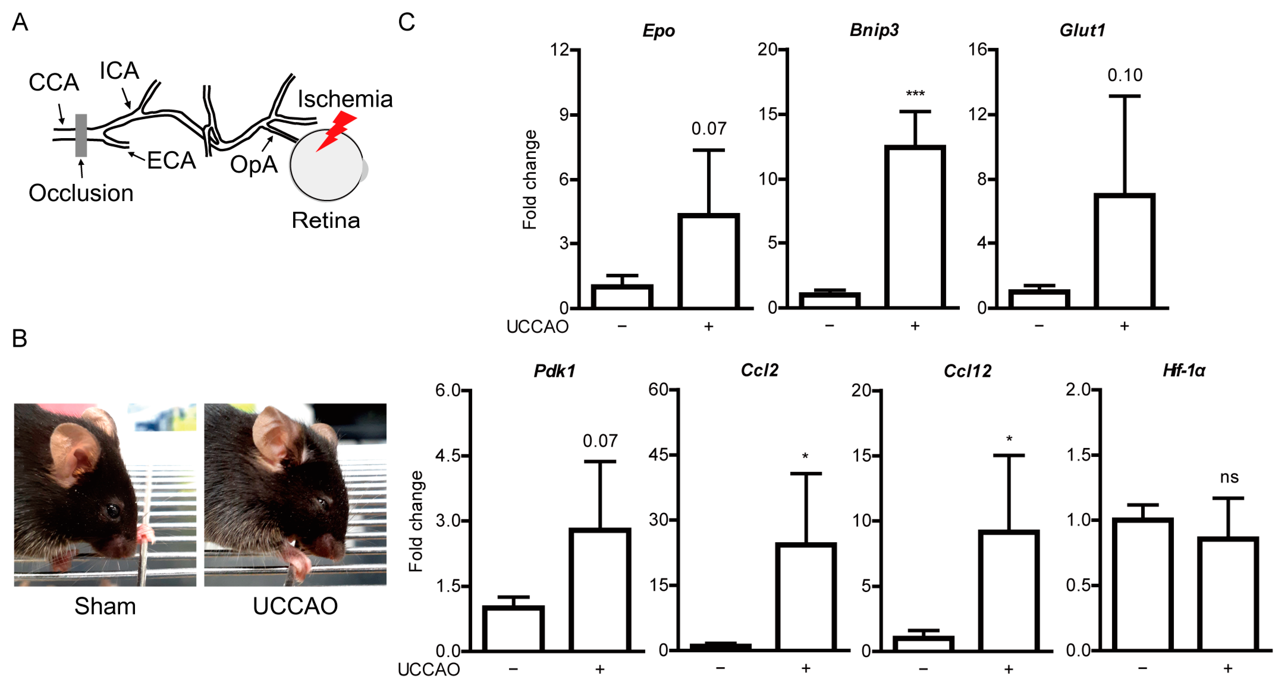 Pharmaceuticals 14 00223 g001