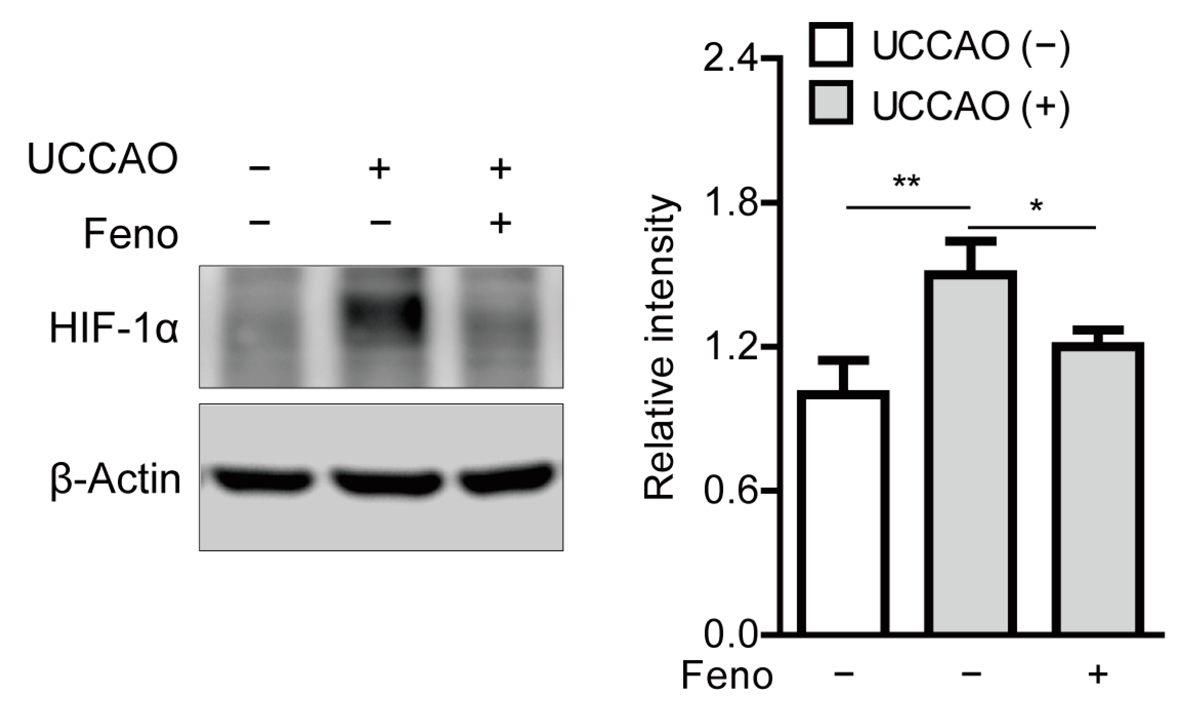 Pharmaceuticals 14 00223 g006