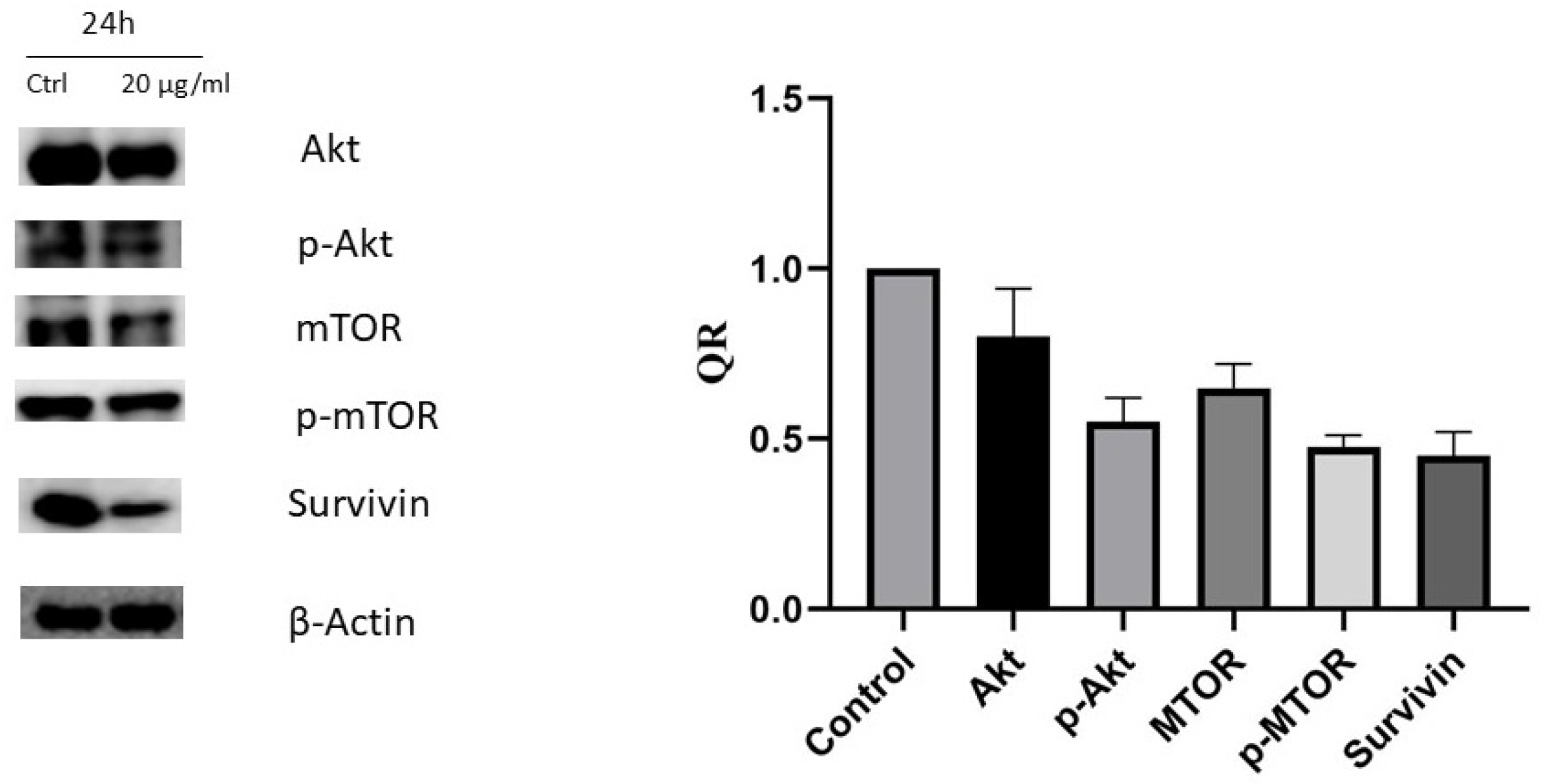 Pharmaceuticals 14 00230 g006 Pharmaceuticals 14 00230 g006