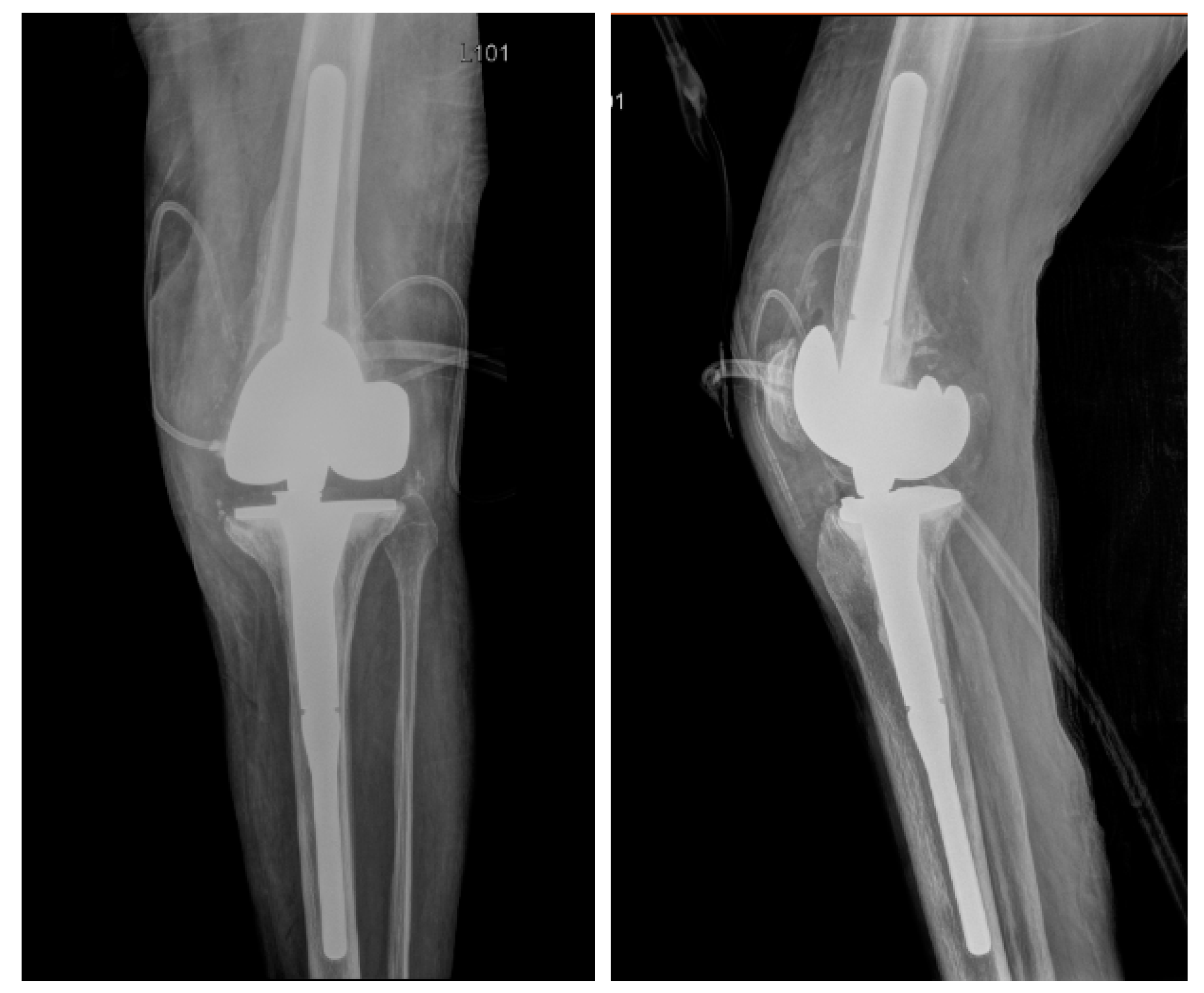 Pharmaceuticals 14 00231 g002