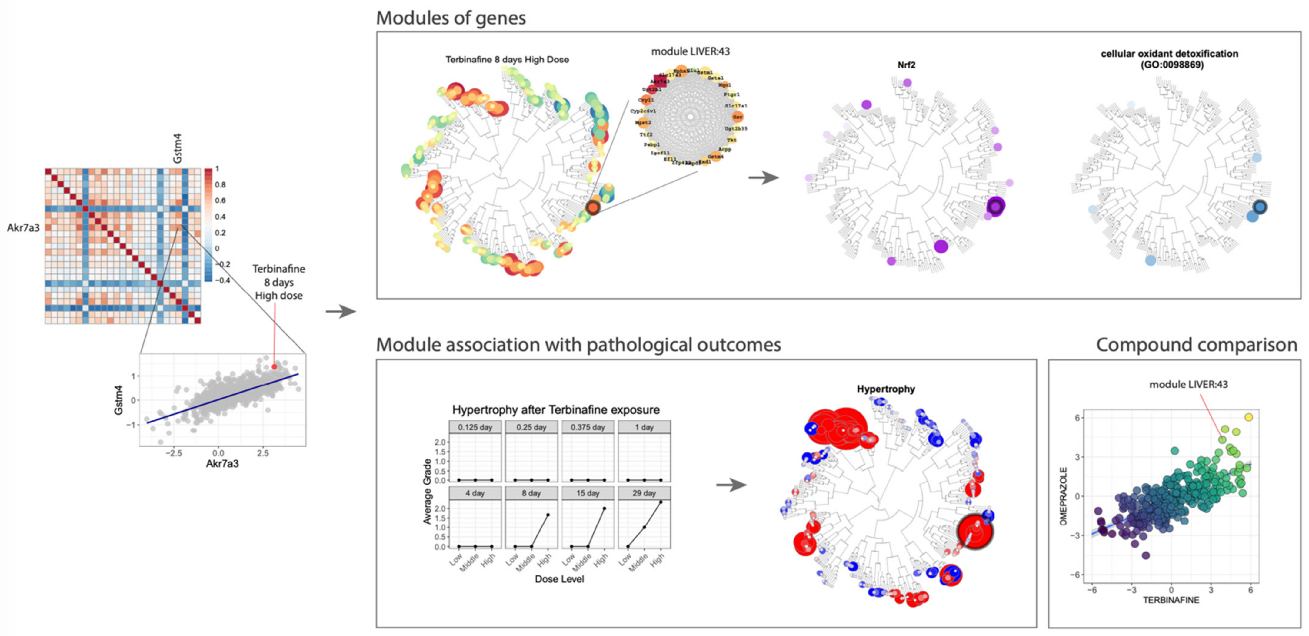 Pharmaceuticals 14 00237 g010