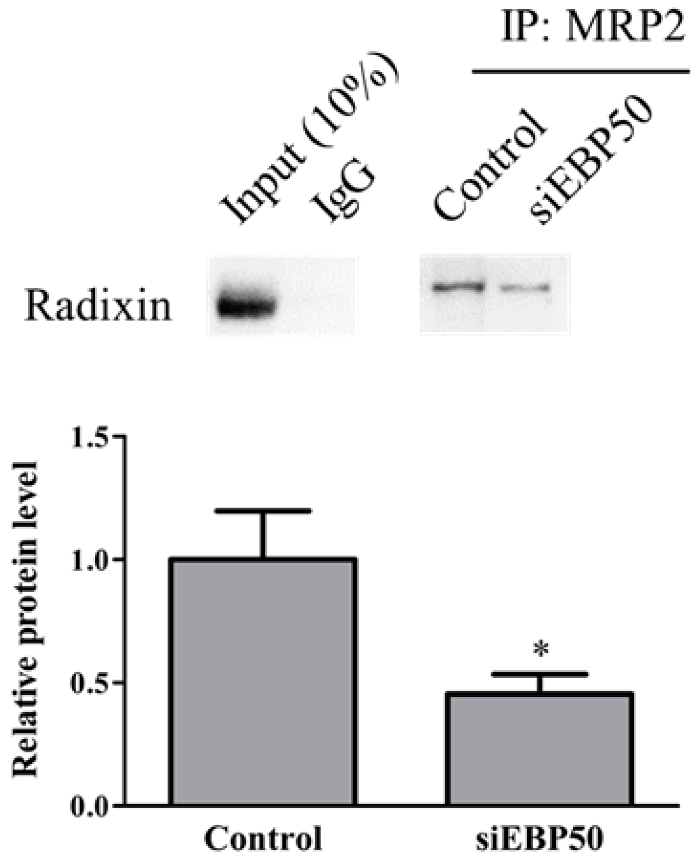 Pharmaceuticals 14 00239 g003 Pharmaceuticals 14 00239 g003