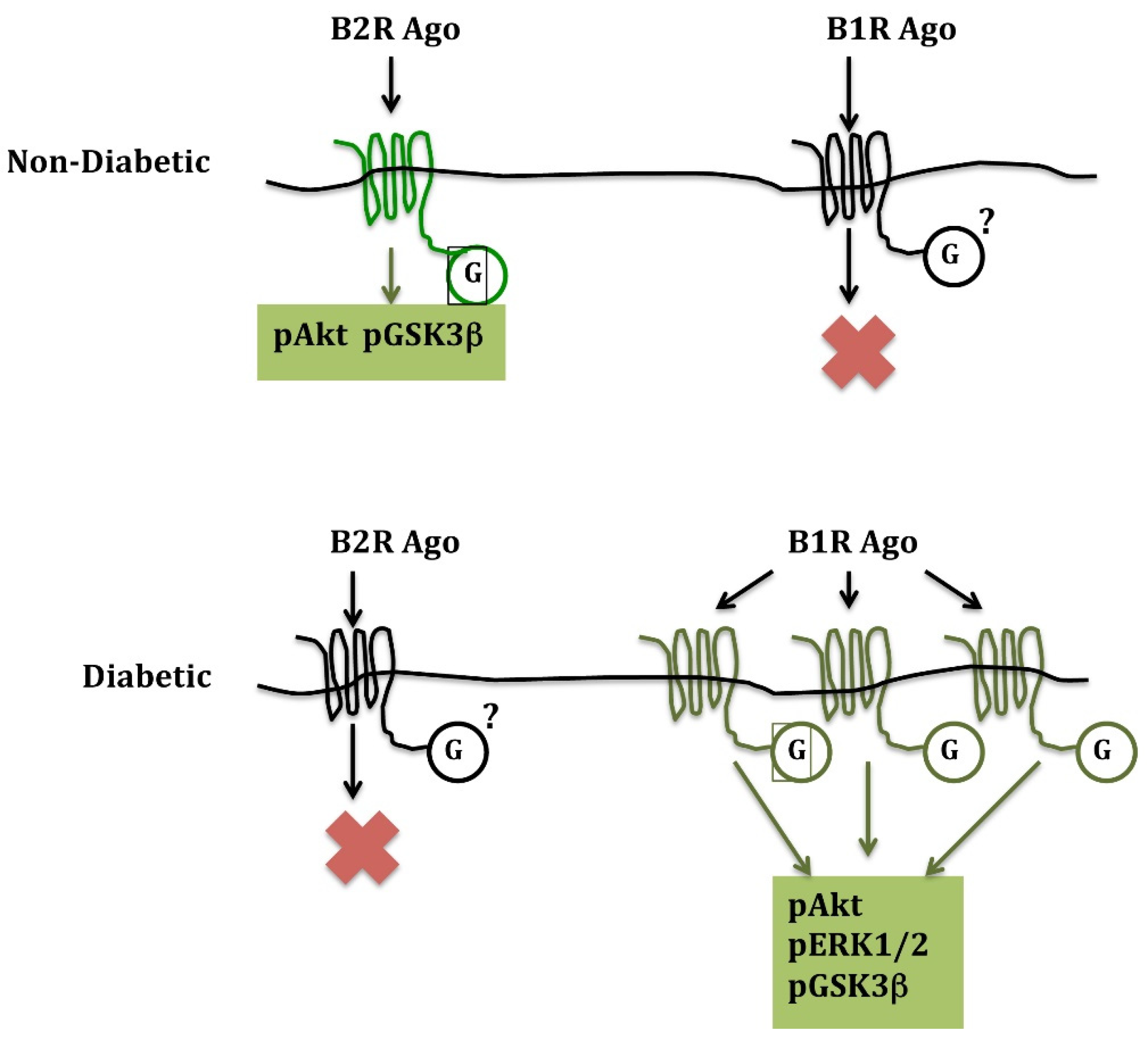 Pharmaceuticals 14 00240 g001