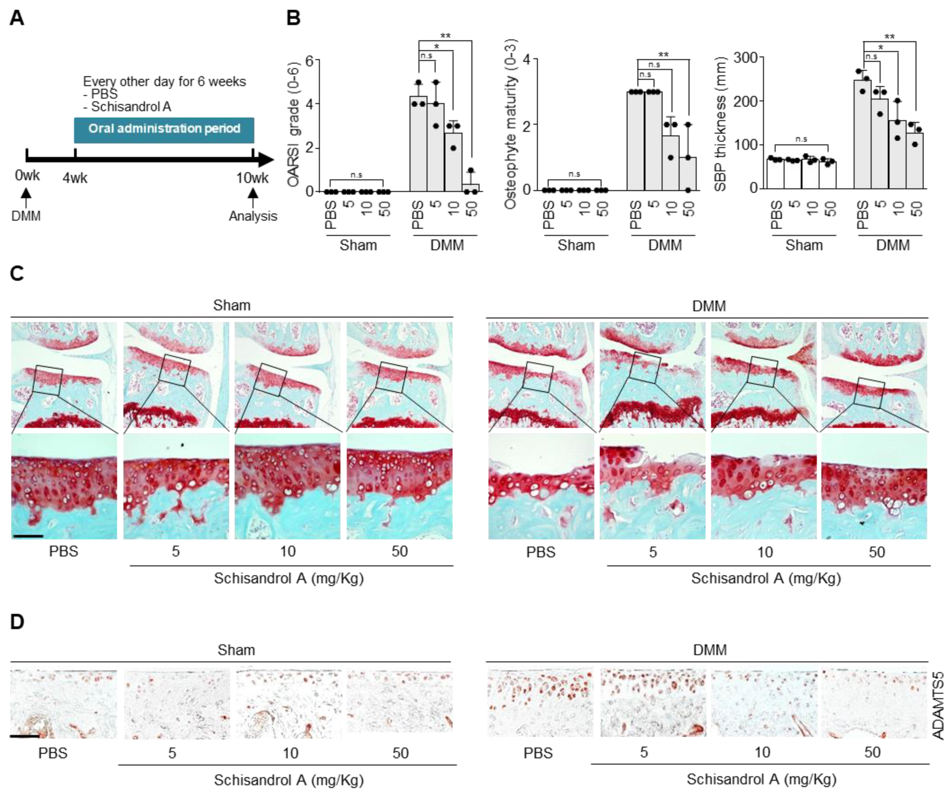 Pharmaceuticals 14 00241 g003