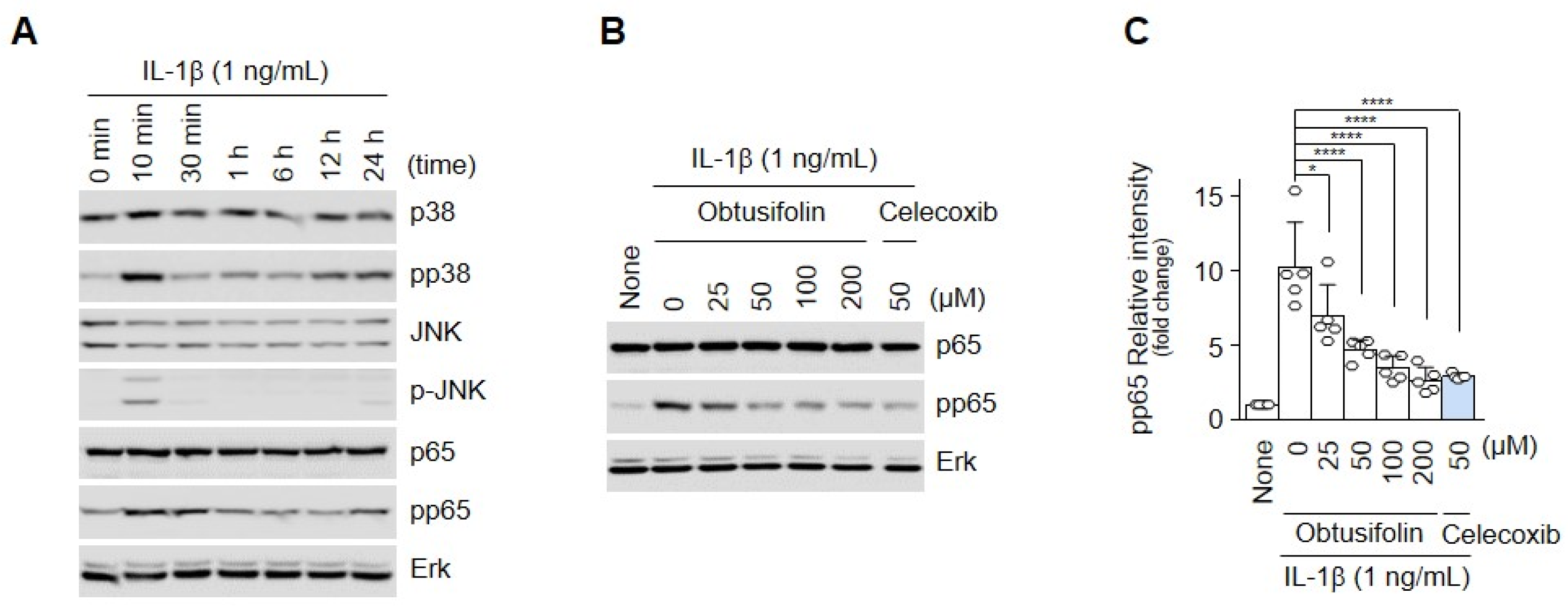 Pharmaceuticals 14 00249 g003