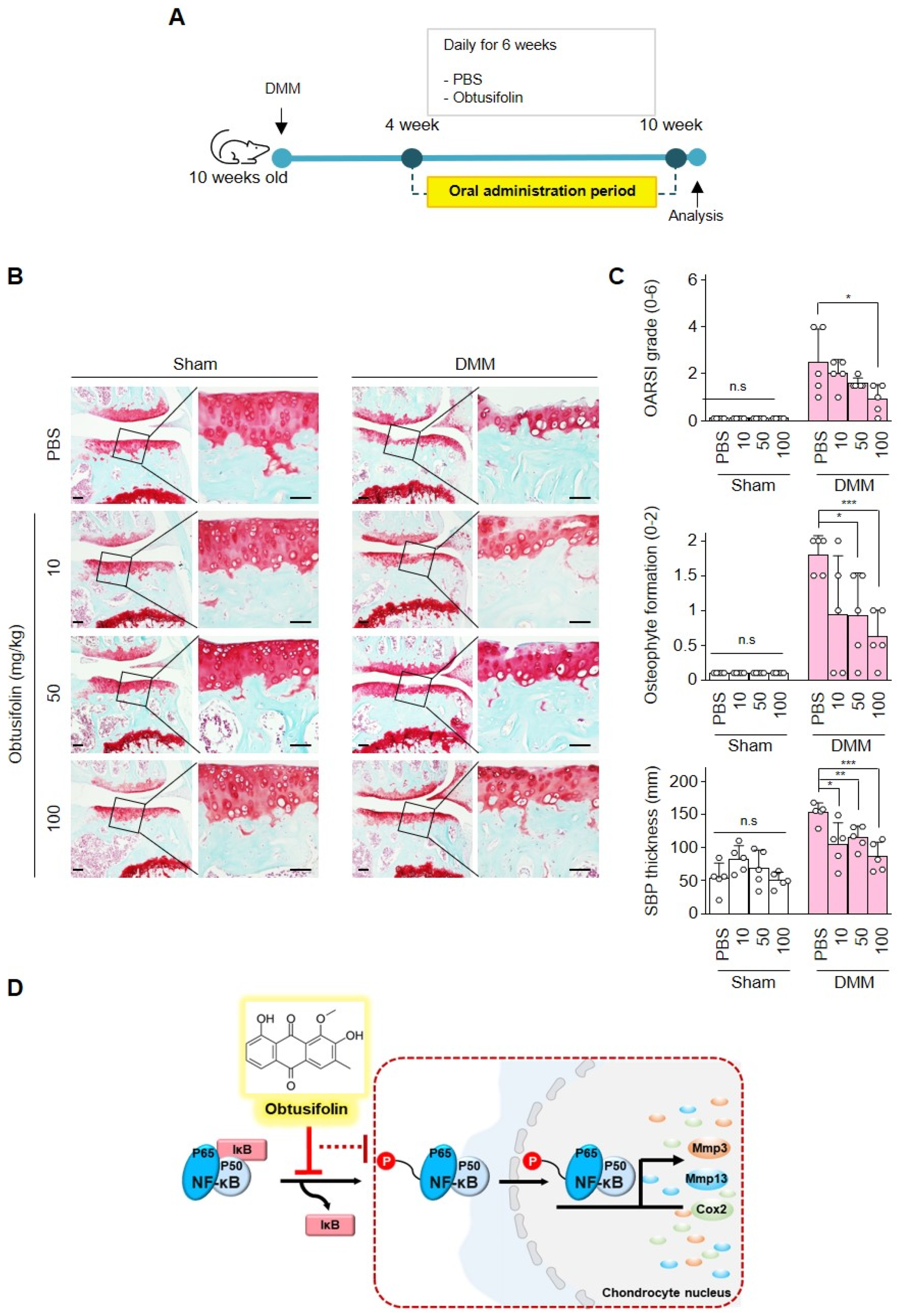 Pharmaceuticals 14 00249 g004