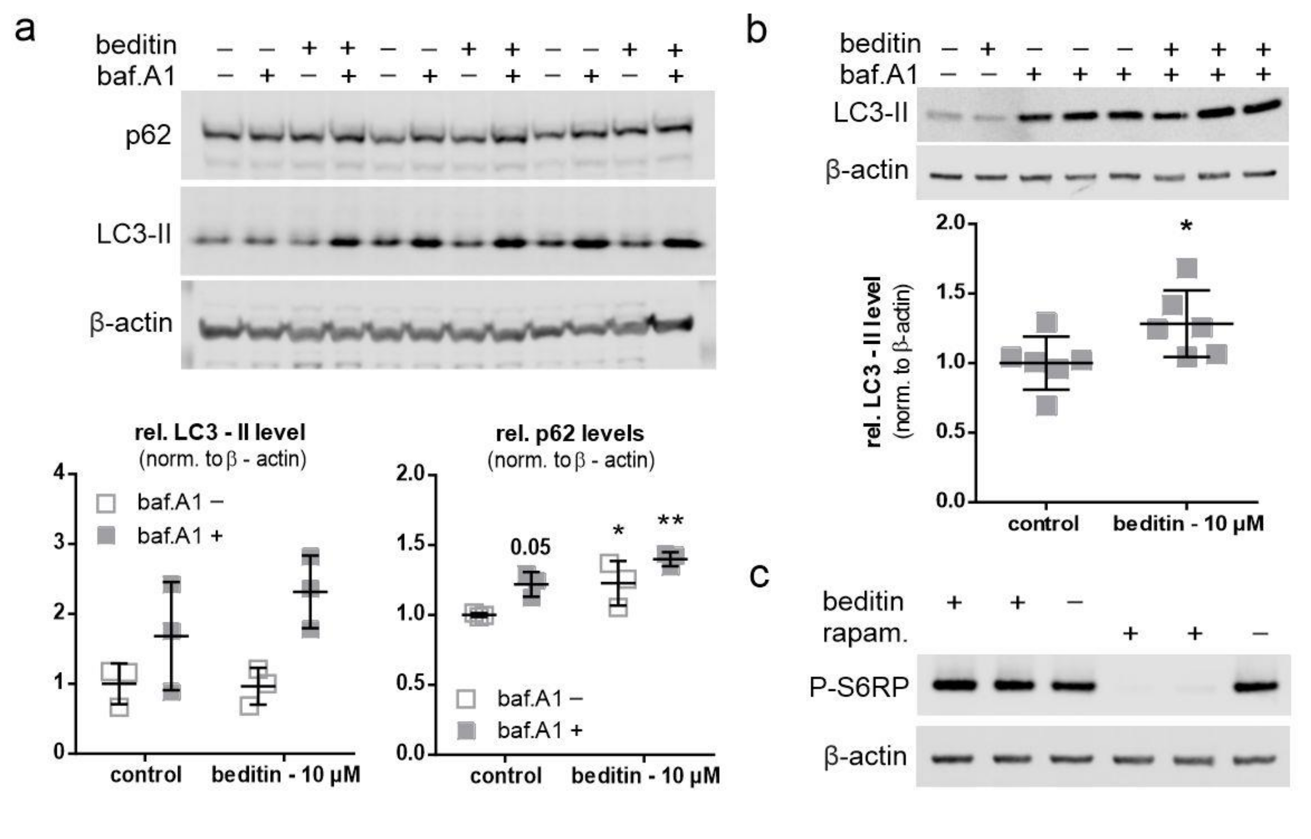 Pharmaceuticals 14 00257 g004 Pharmaceuticals 14 00257 g004