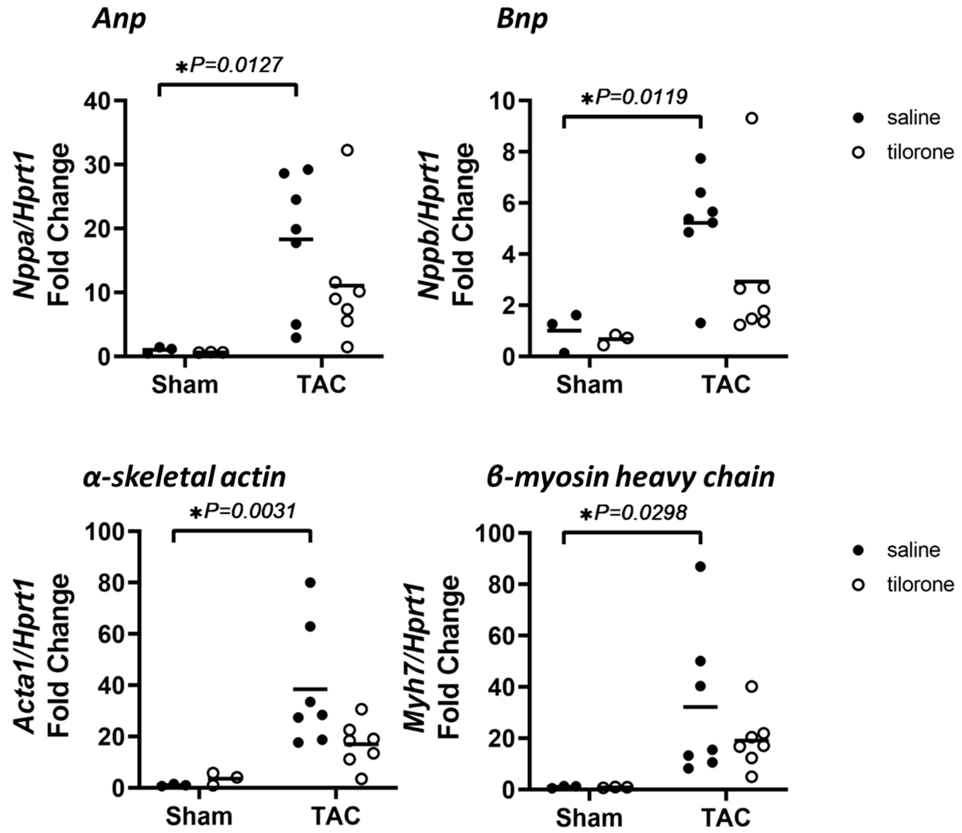 Pharmaceuticals 14 00263 g004