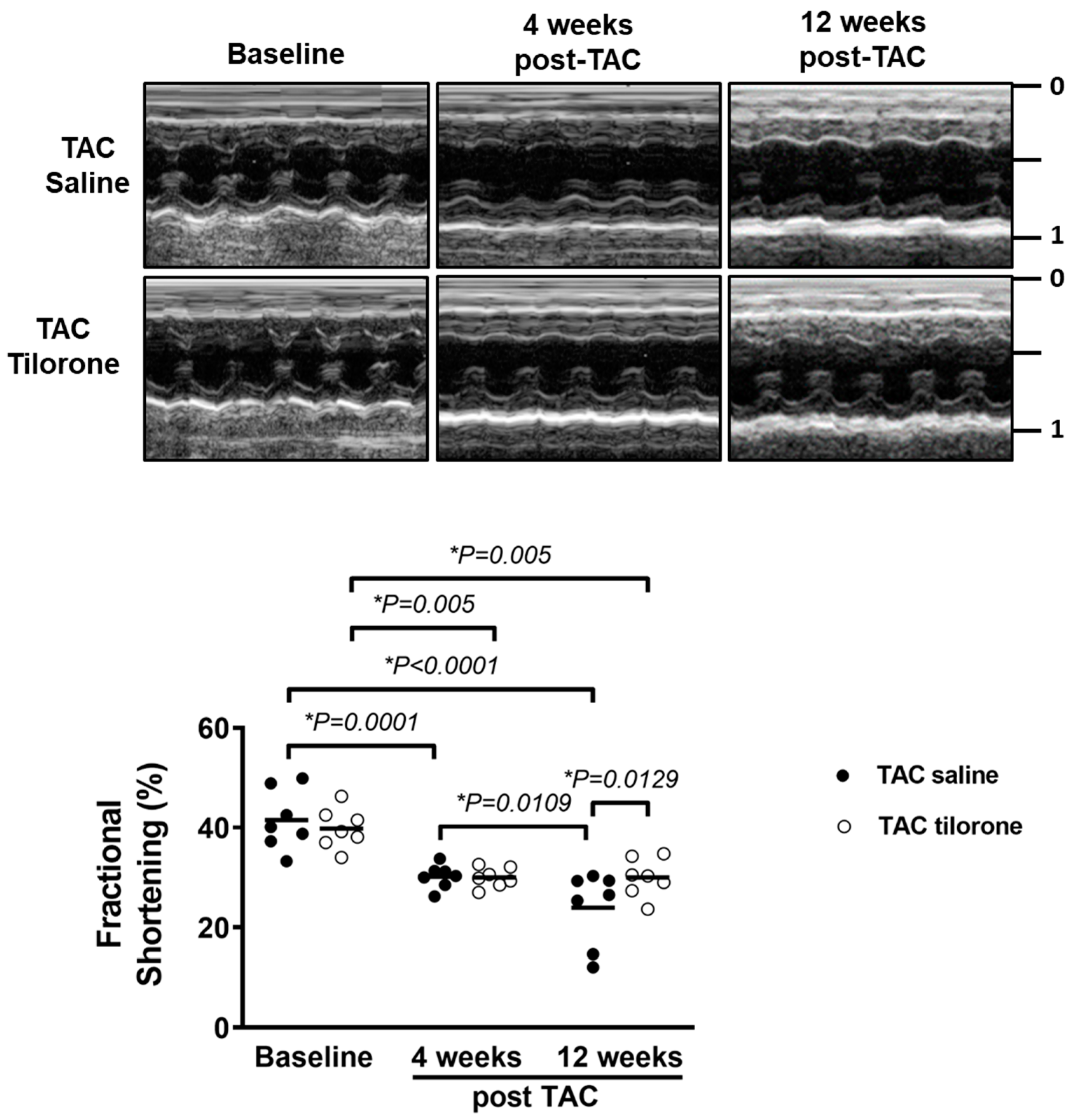 Pharmaceuticals 14 00263 g005
