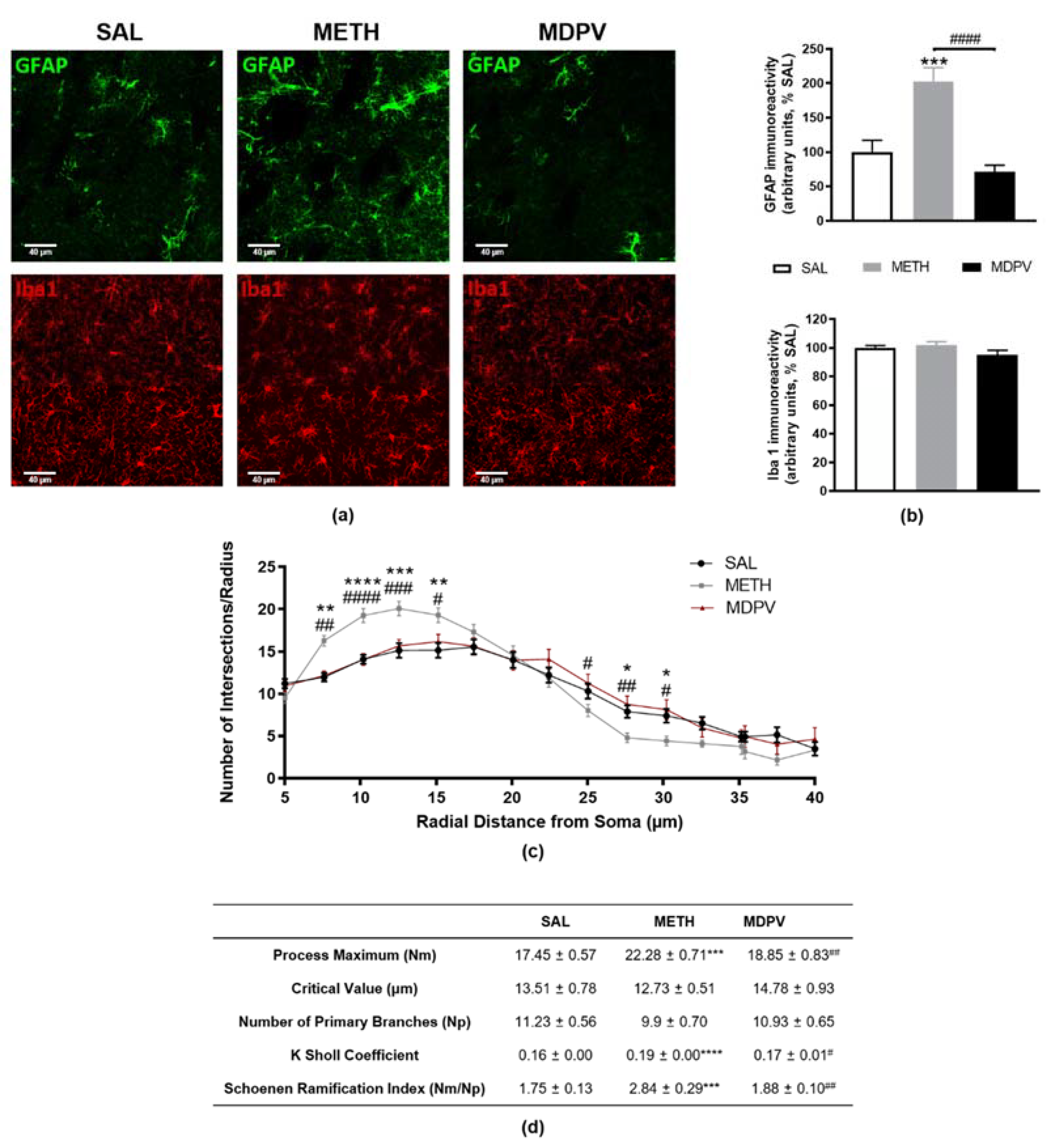 Pharmaceuticals 14 00271 g005 Pharmaceuticals 14 00271 g005