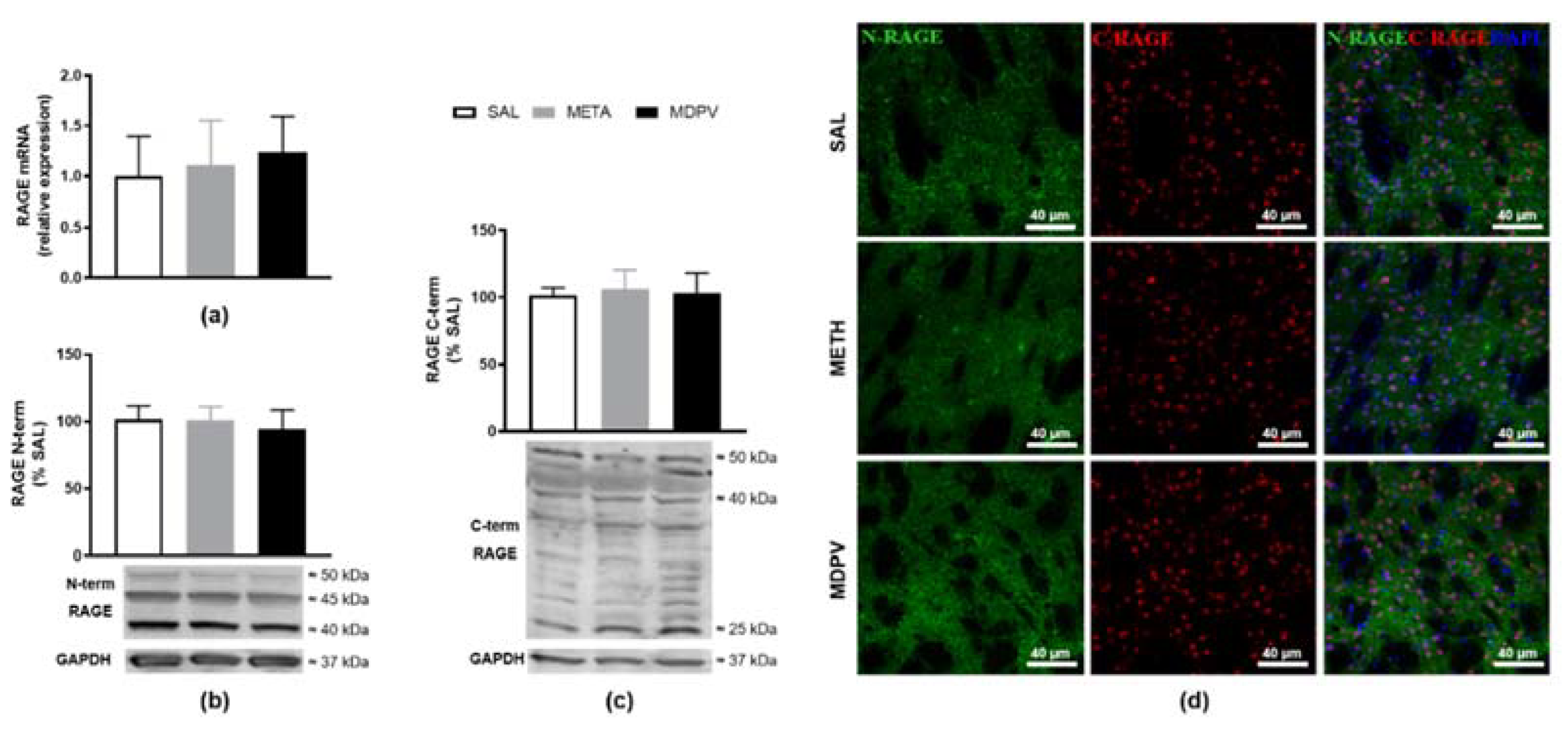 Pharmaceuticals 14 00271 g006 Pharmaceuticals 14 00271 g006