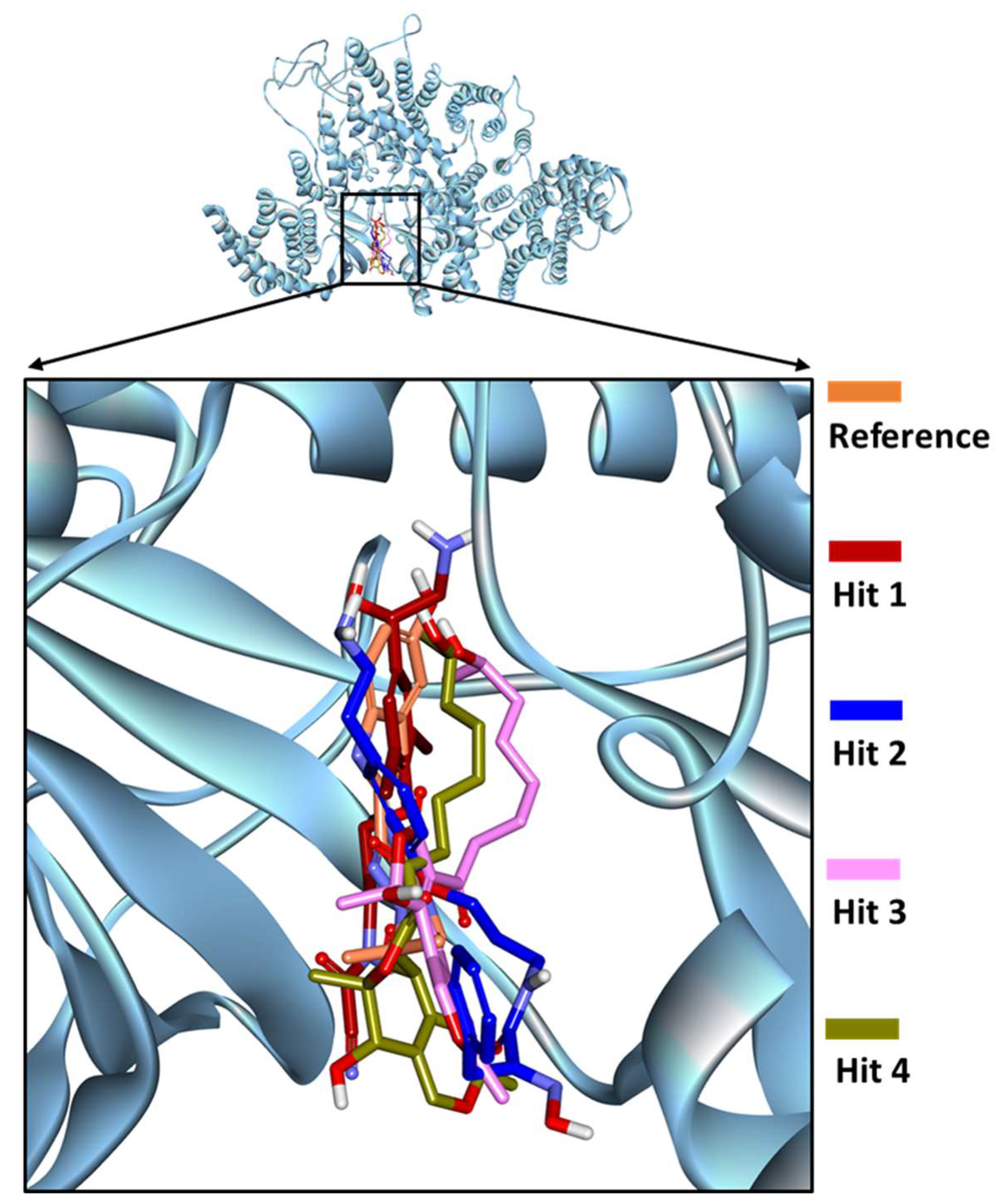 Pharmaceuticals 14 00282 g003 Pharmaceuticals 14 00282 g003
