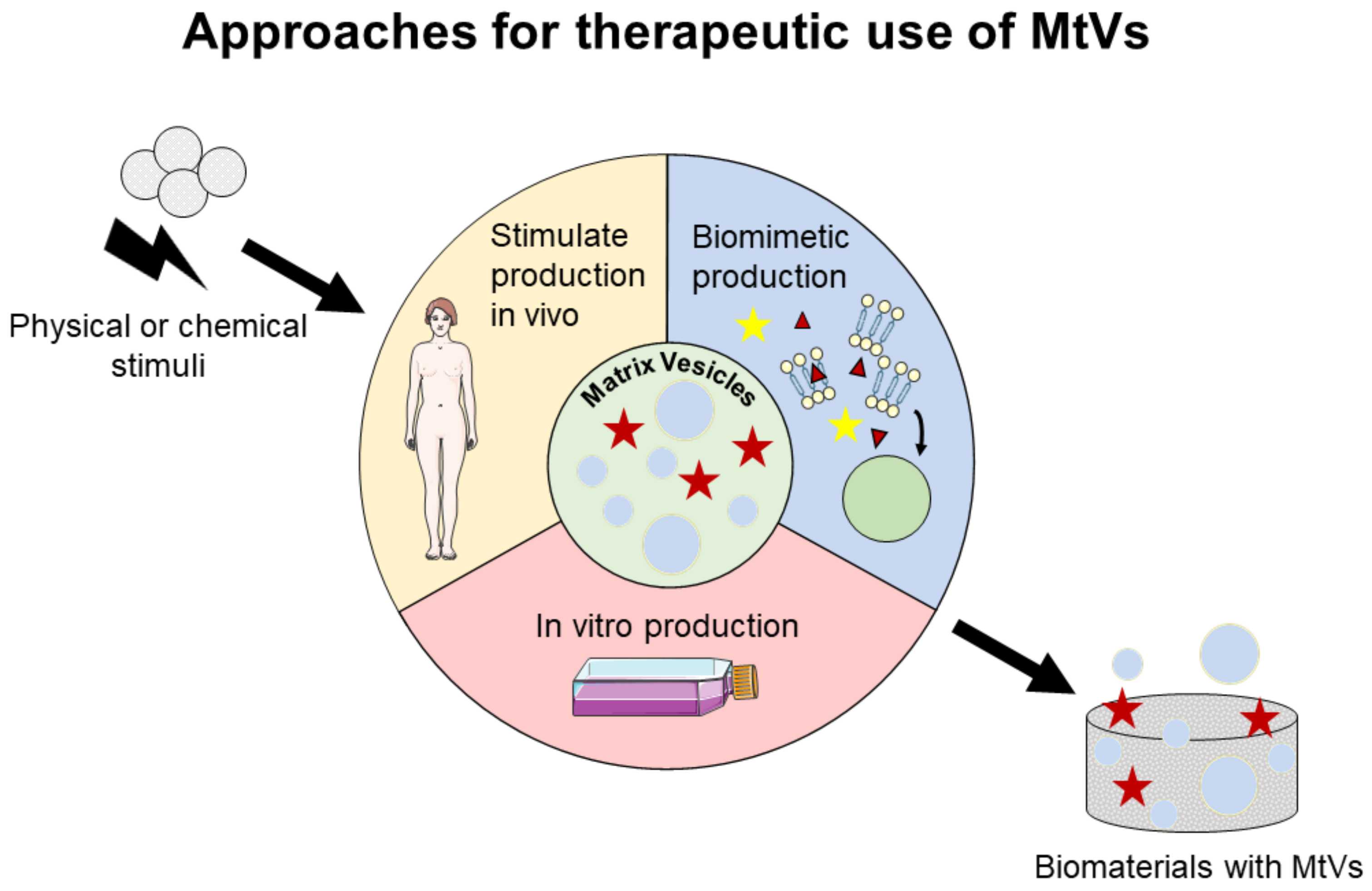 Pharmaceuticals 14 00289 g003