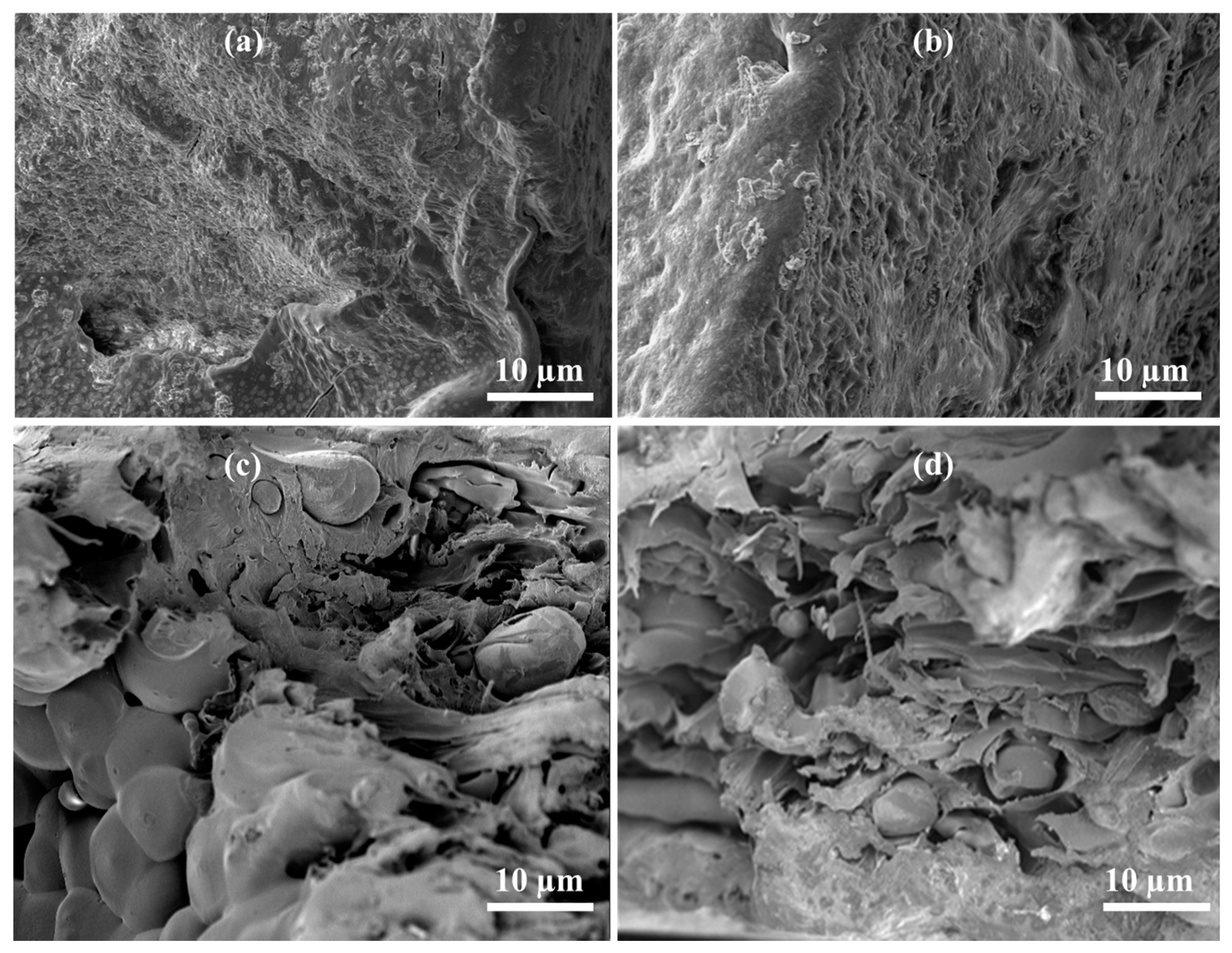 Pharmaceuticals 14 00291 g002