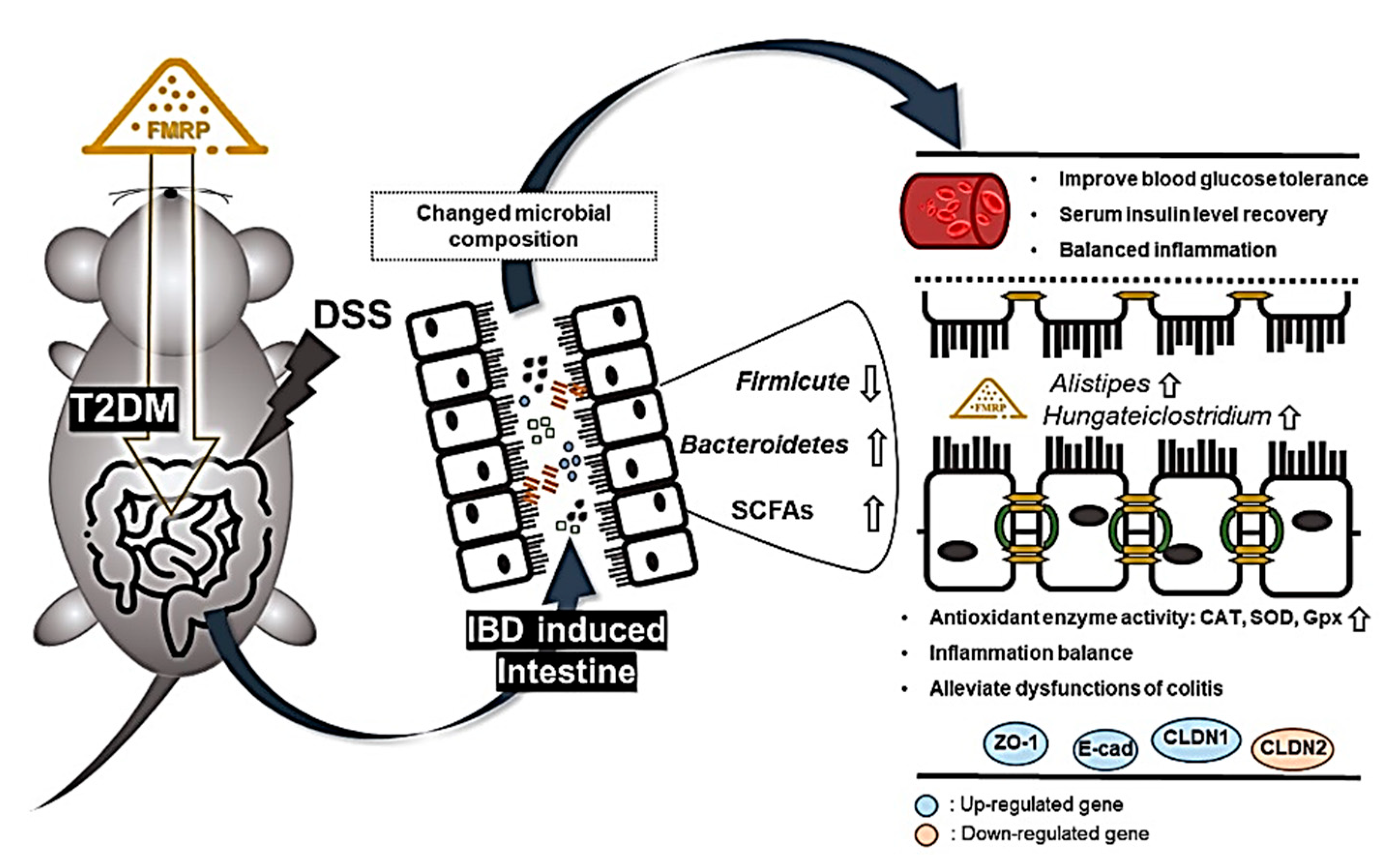 Pharmaceuticals 14 00299 g008 Pharmaceuticals 14 00299 g008