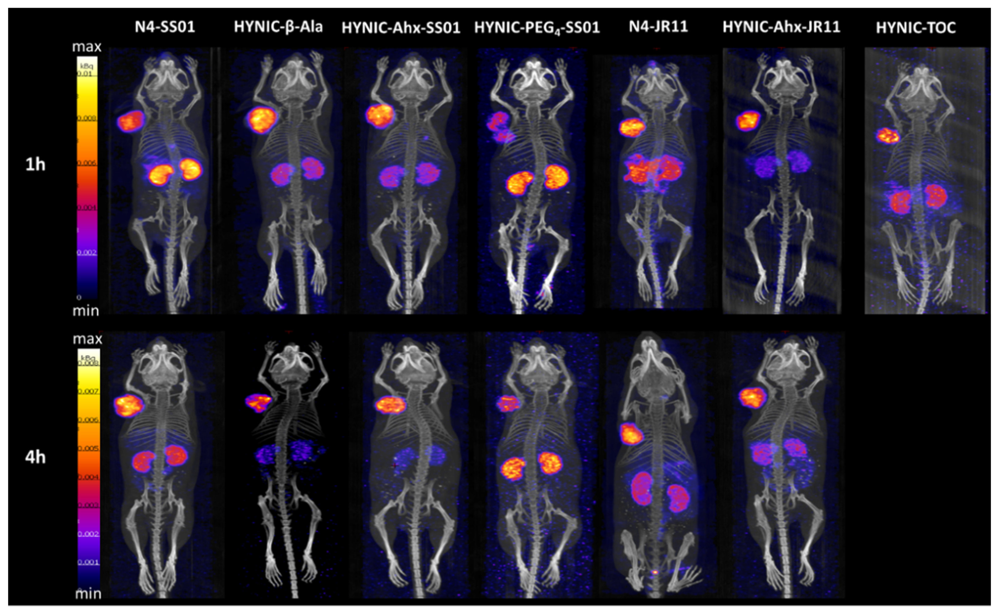 Pharmaceuticals 14 00300 g005