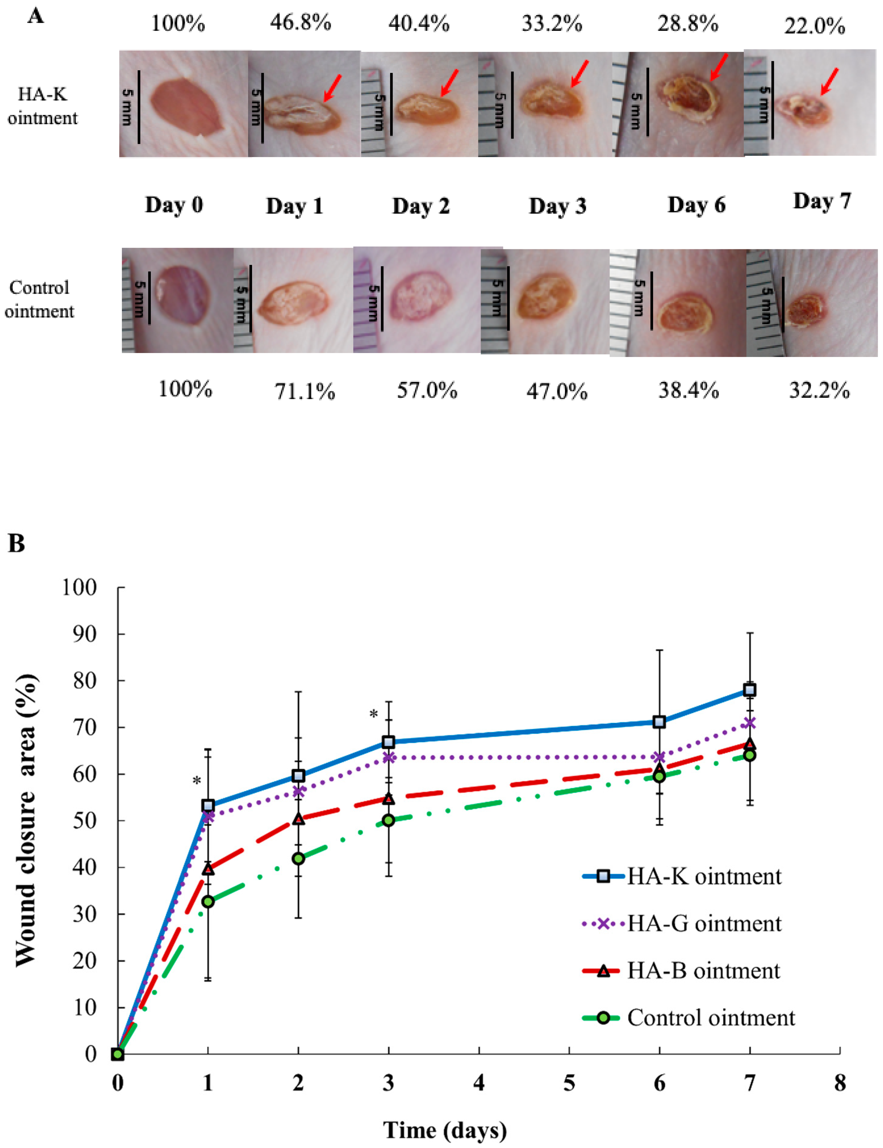 Pharmaceuticals Free FullText Wound Healing Promotion by