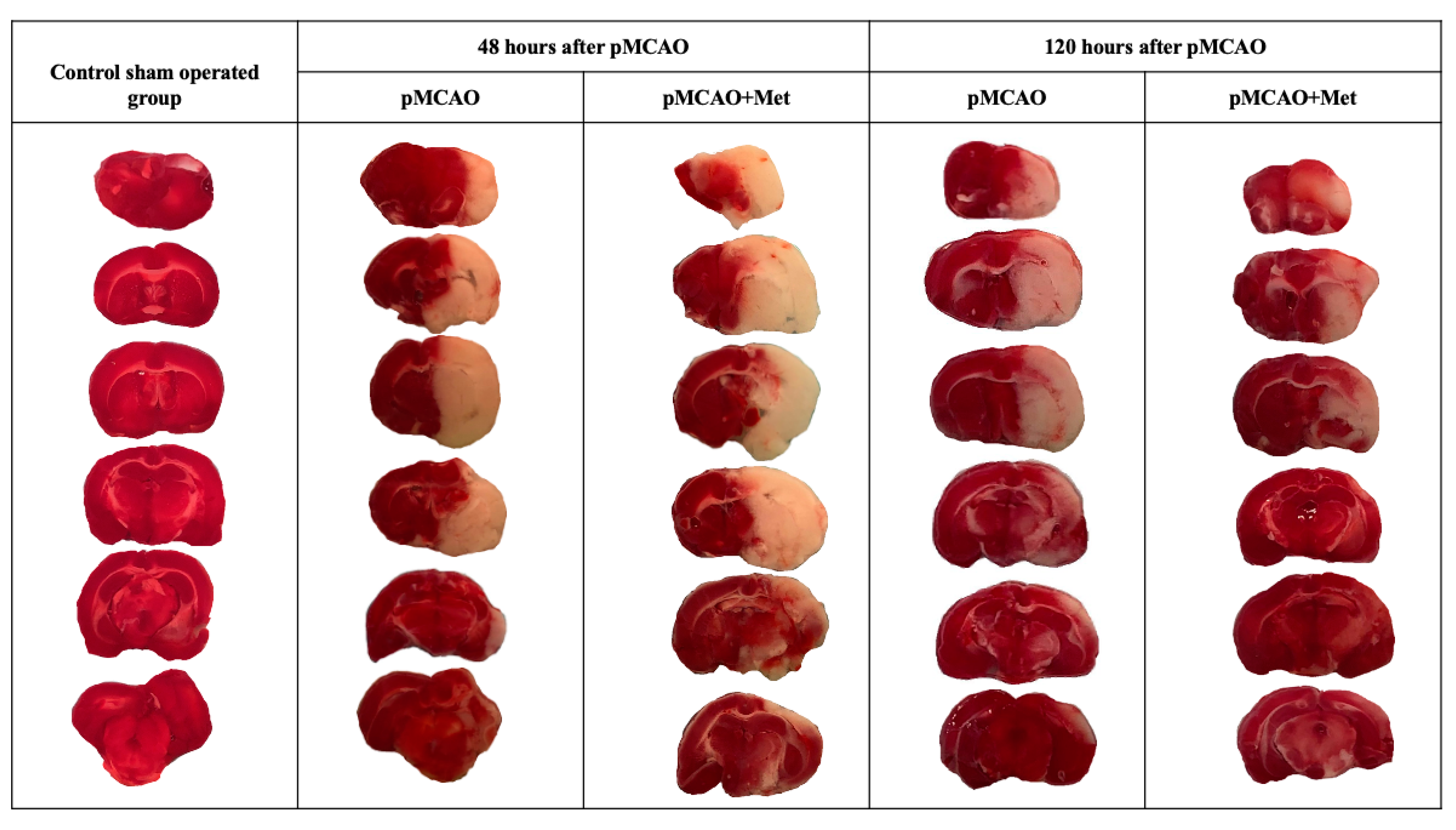 Pharmaceuticals 14 00312 g001