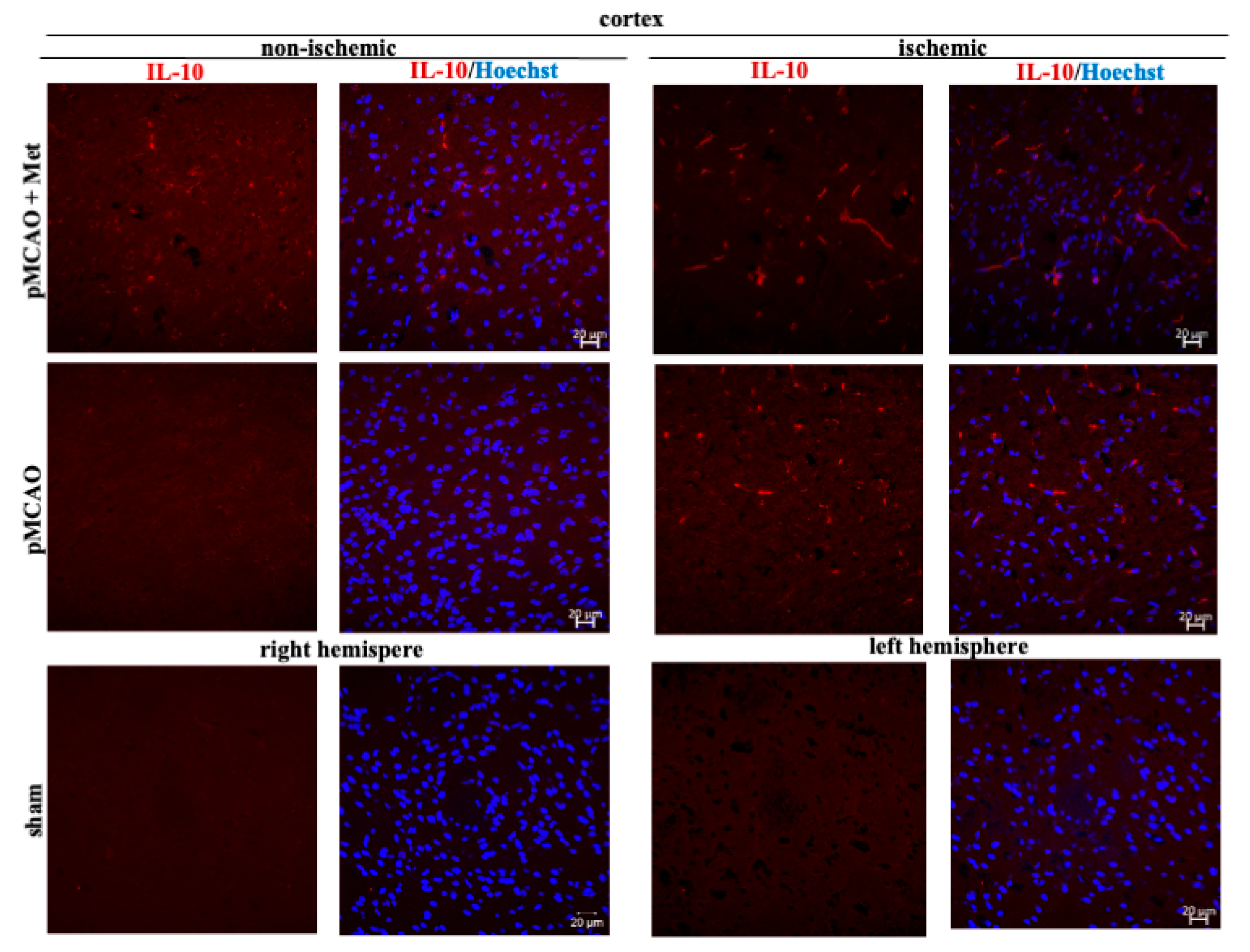 Pharmaceuticals 14 00312 g008
