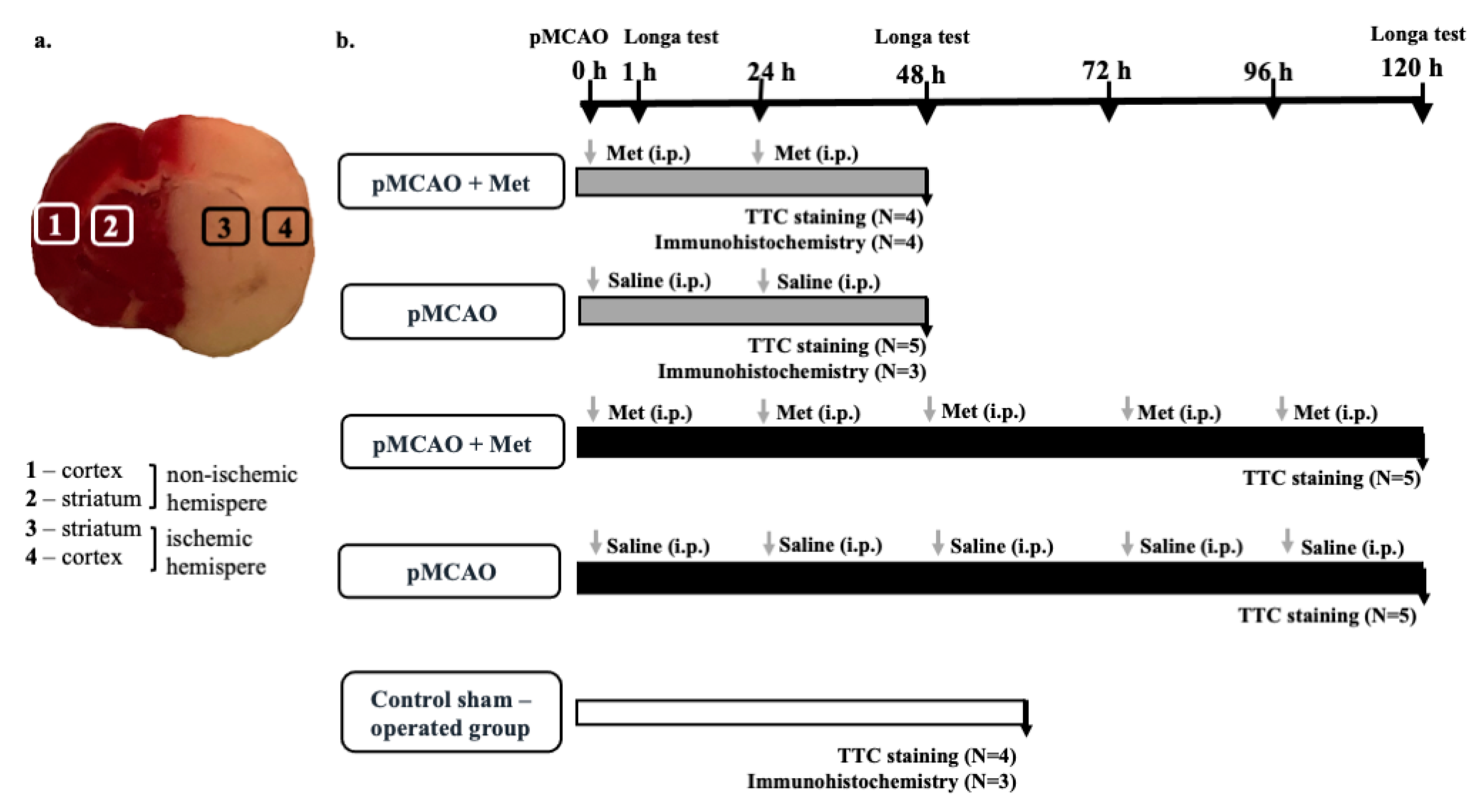 Pharmaceuticals 14 00312 g011