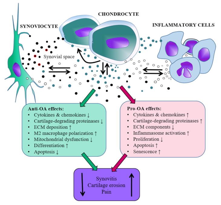 Pharmaceuticals 14 00315 g001