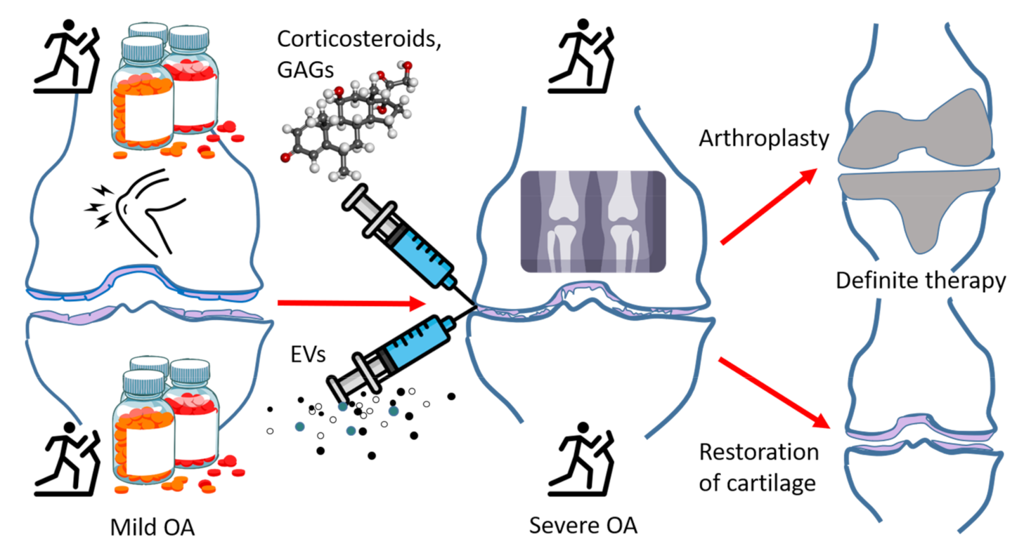 Pharmaceuticals 14 00315 g002