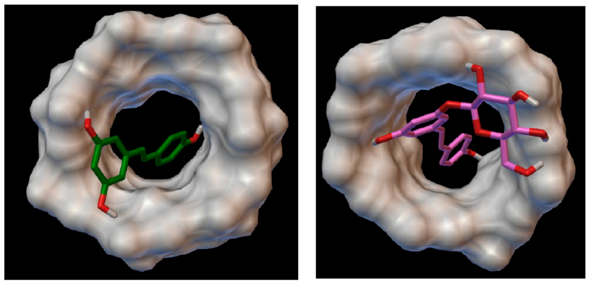 Pharmaceuticals 14 00319 g005 Pharmaceuticals 14 00319 g005