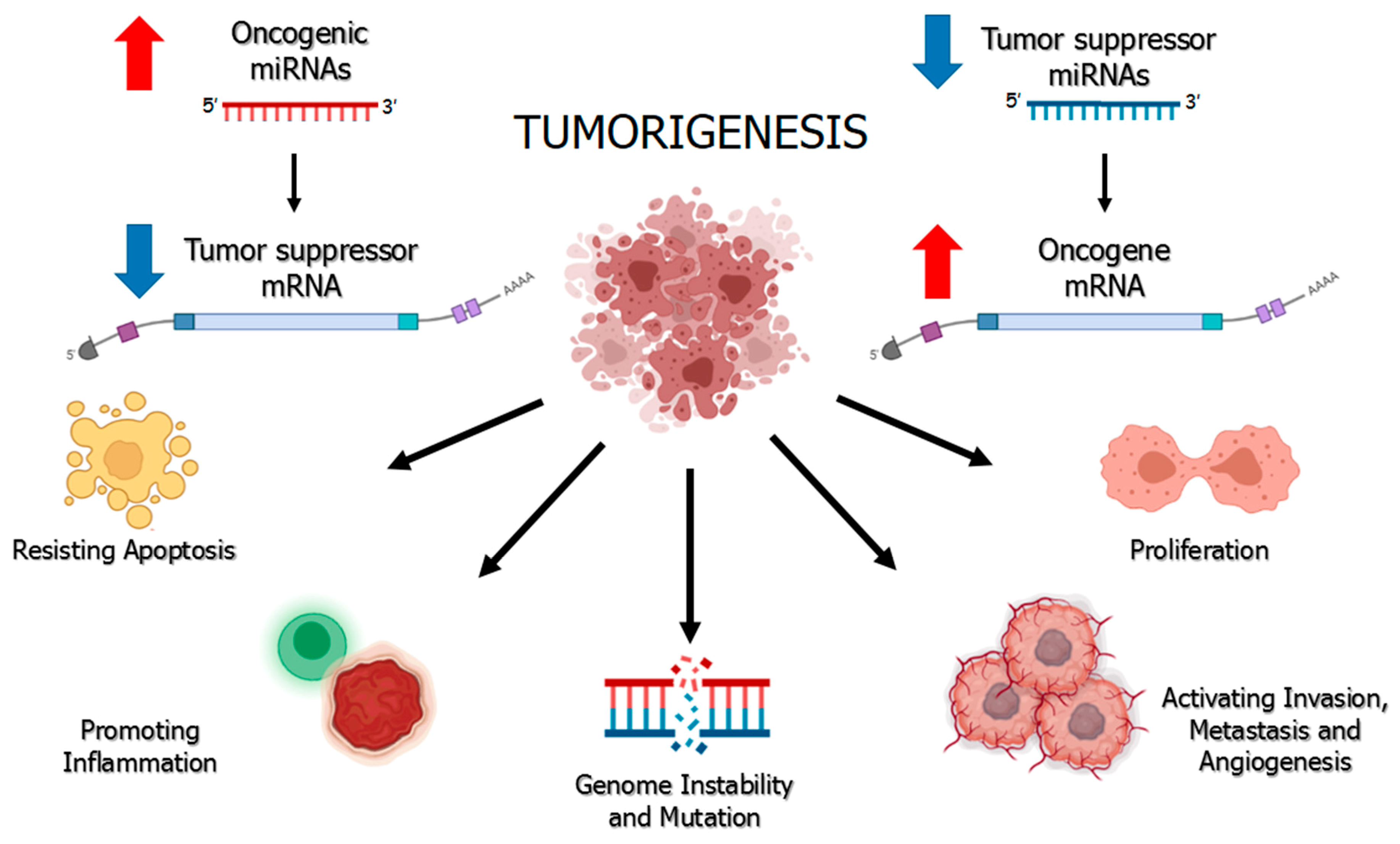 Pharmaceuticals 14 00322 g002 Pharmaceuticals 14 00322 g002