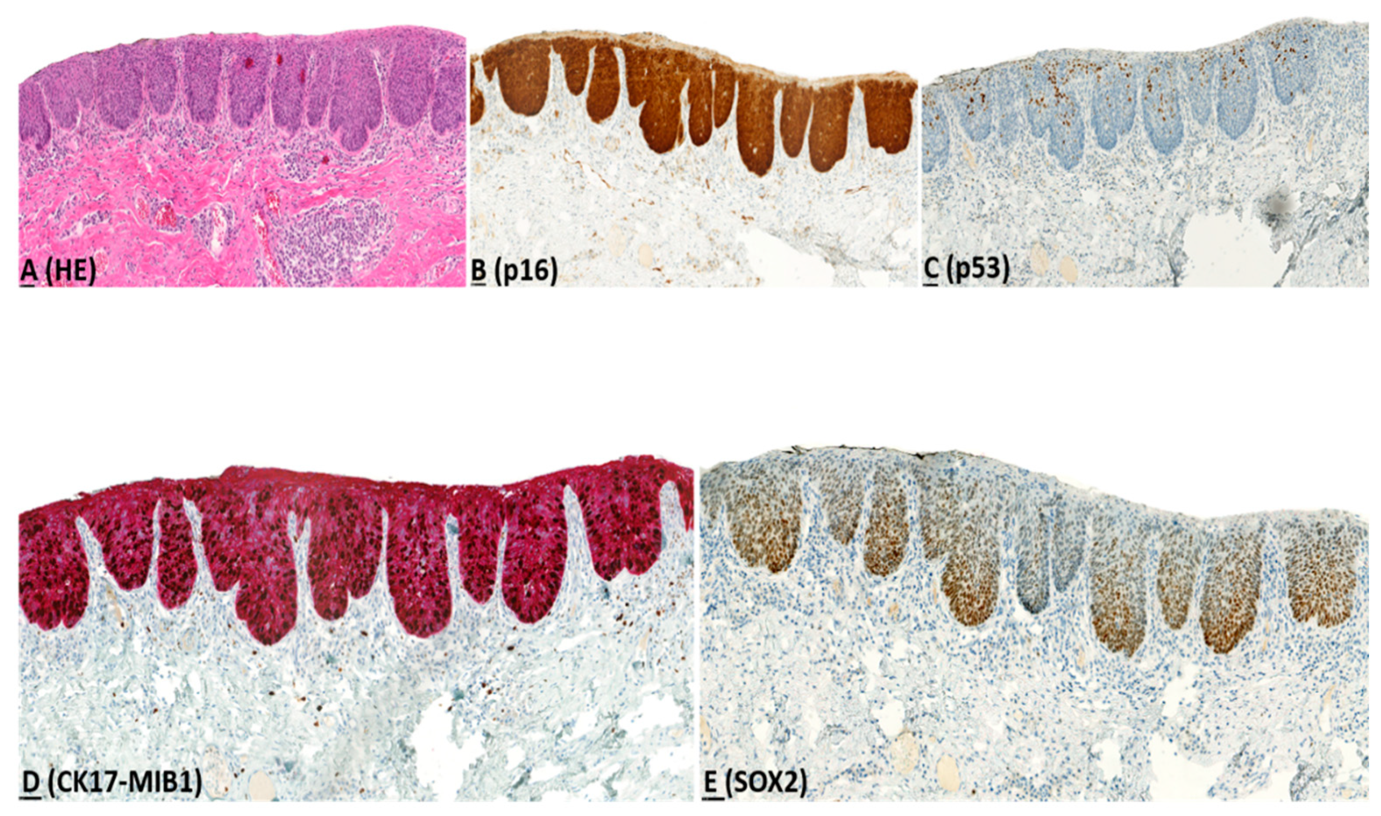 Pharmaceuticals 14 00324 g004 Pharmaceuticals 14 00324 g004