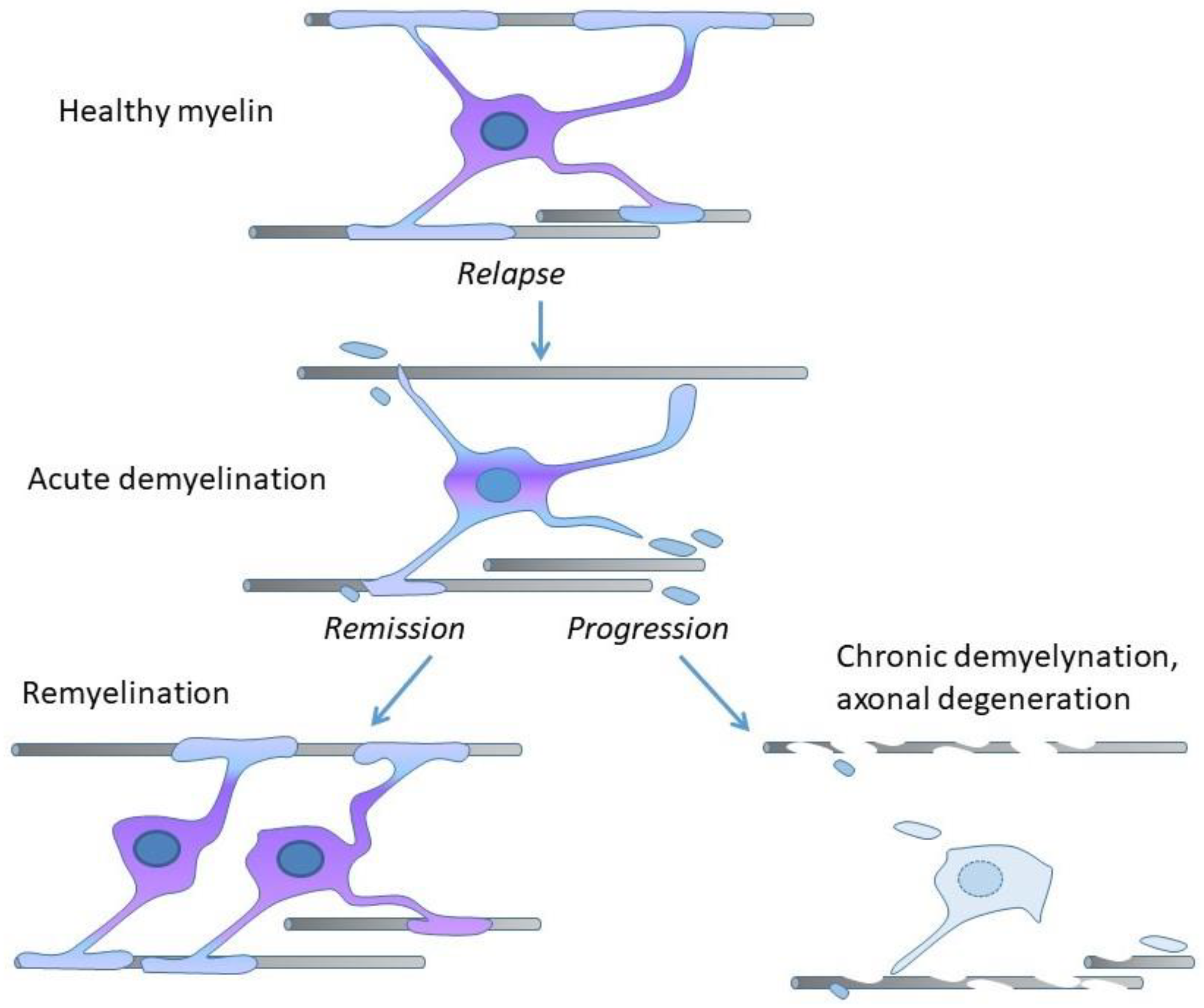 Pharmaceuticals 14 00326 g002 Pharmaceuticals 14 00326 g002