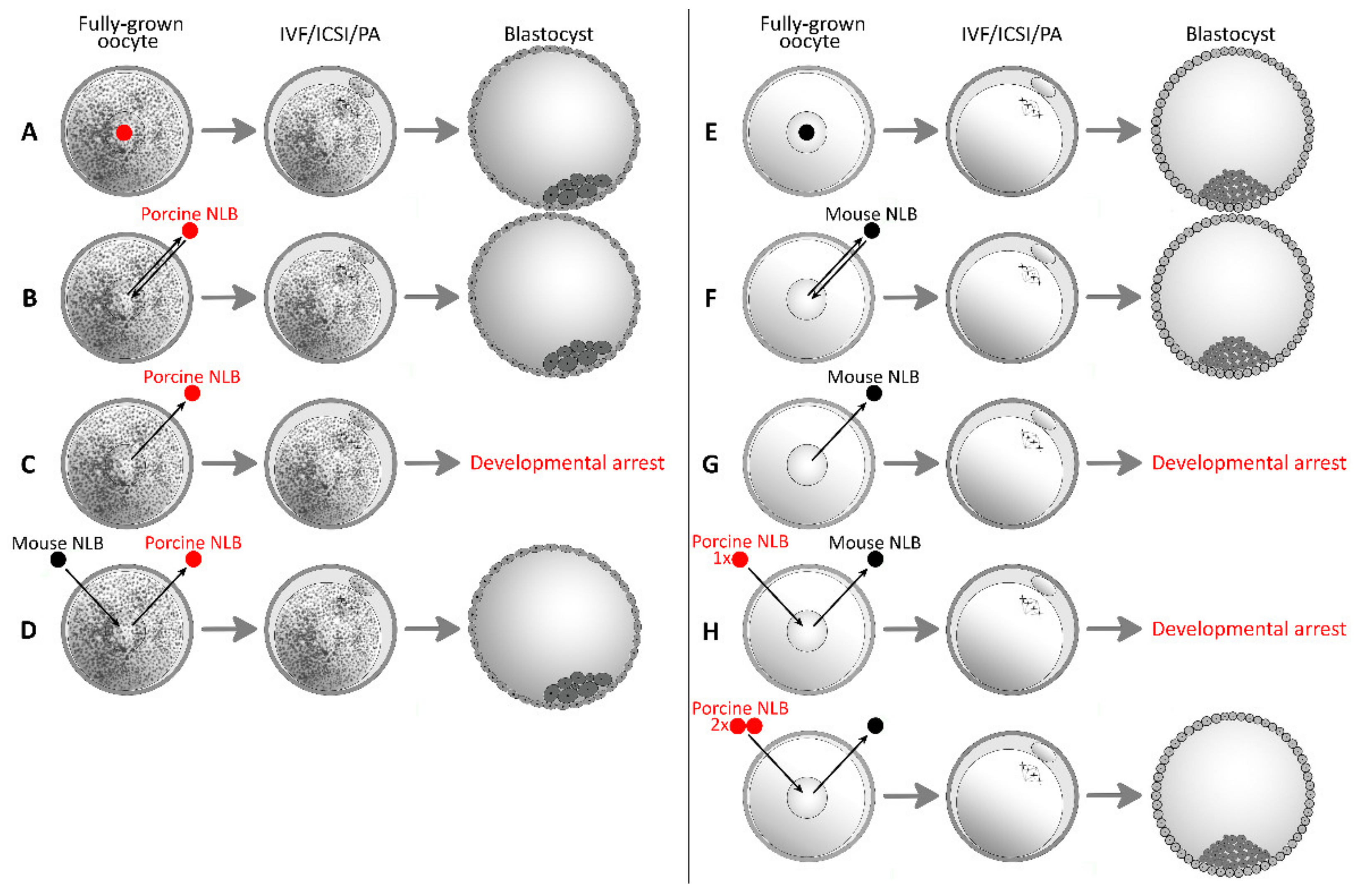 Pharmaceuticals 14 00328 g001 Pharmaceuticals 14 00328 g001