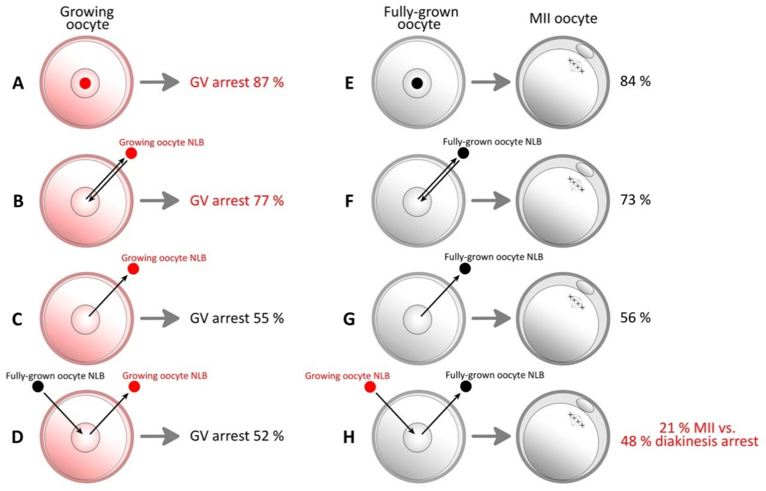Pharmaceuticals 14 00328 g002 Pharmaceuticals 14 00328 g002