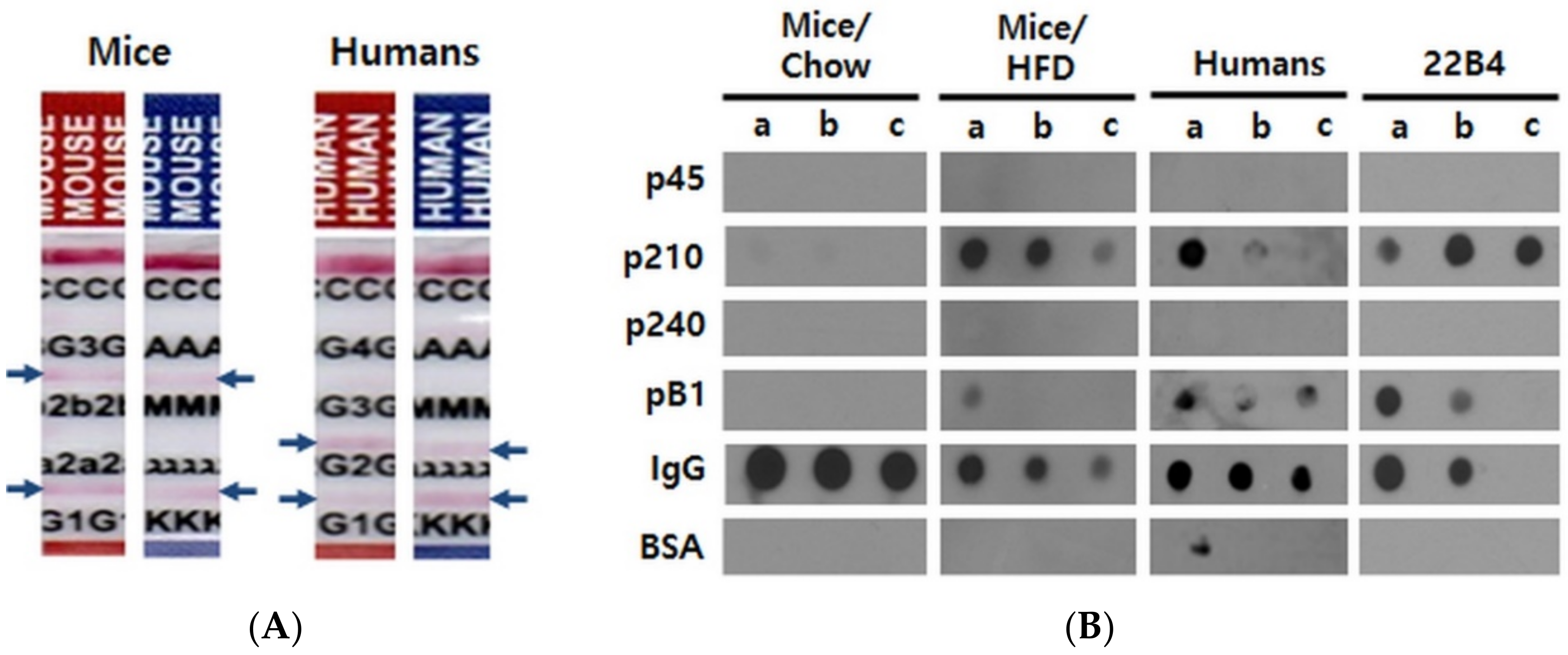 Pharmaceuticals 14 00330 g001 Pharmaceuticals 14 00330 g001