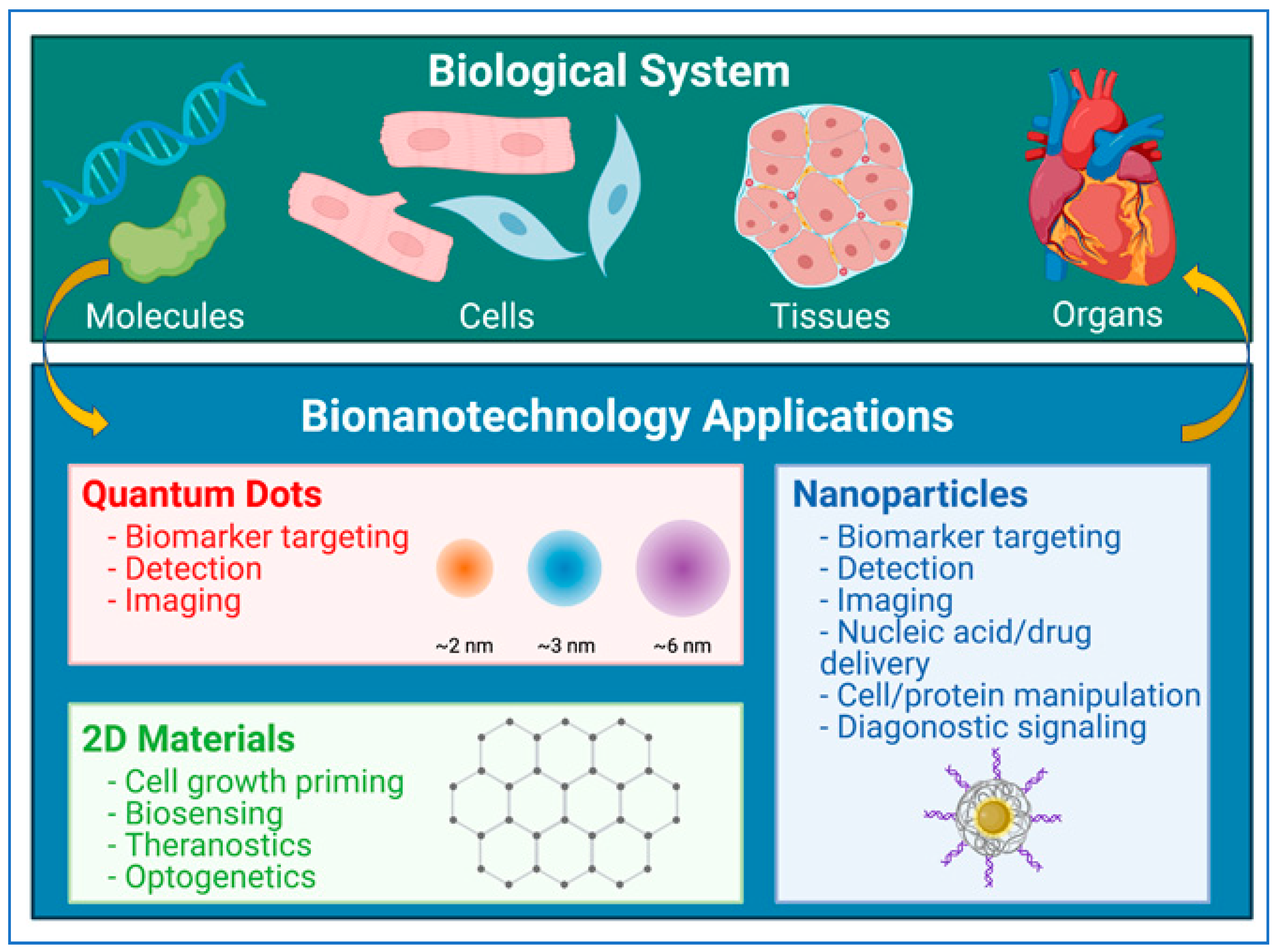 Pharmaceuticals 14 00334 g002