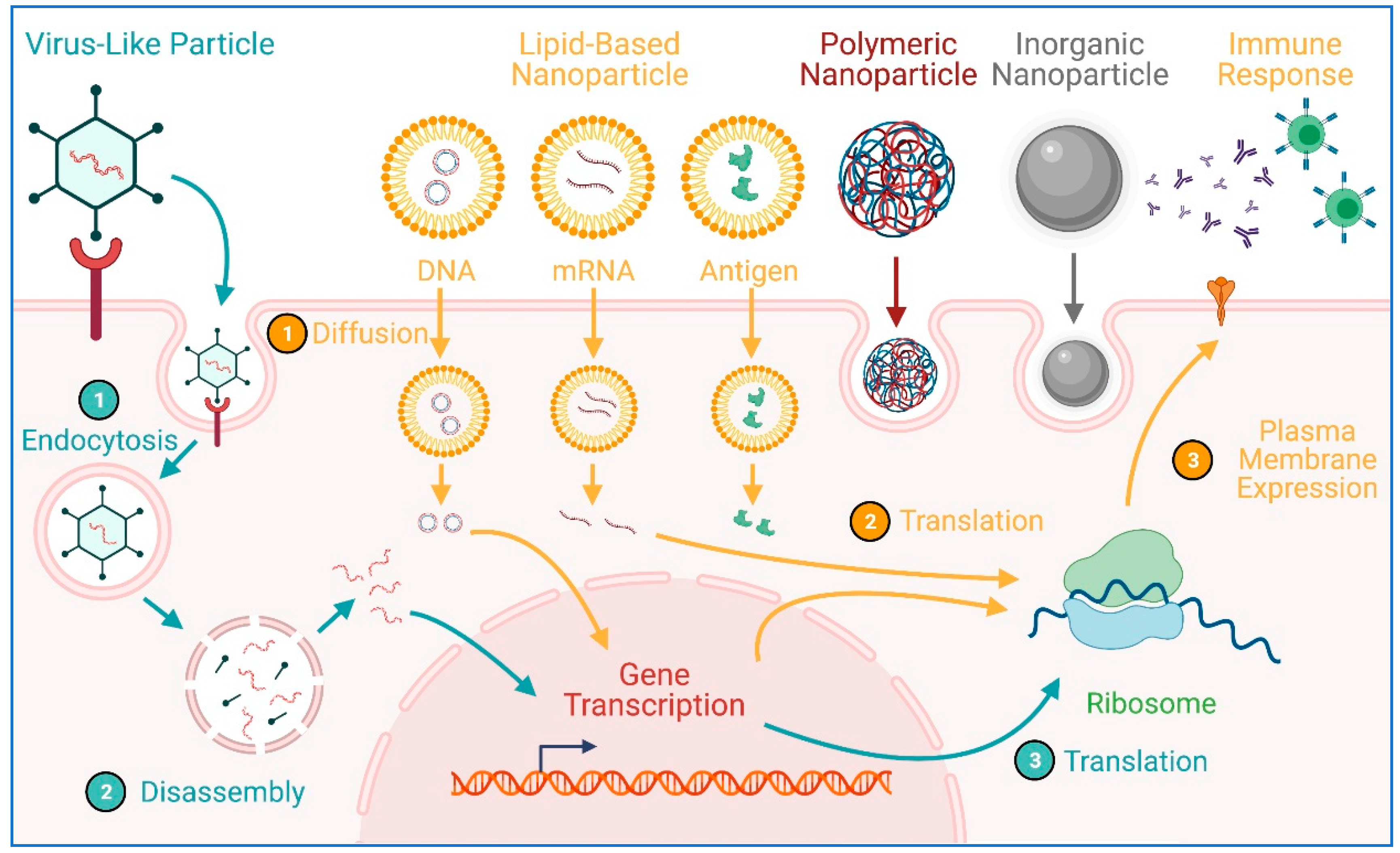 Pharmaceuticals 14 00334 g003