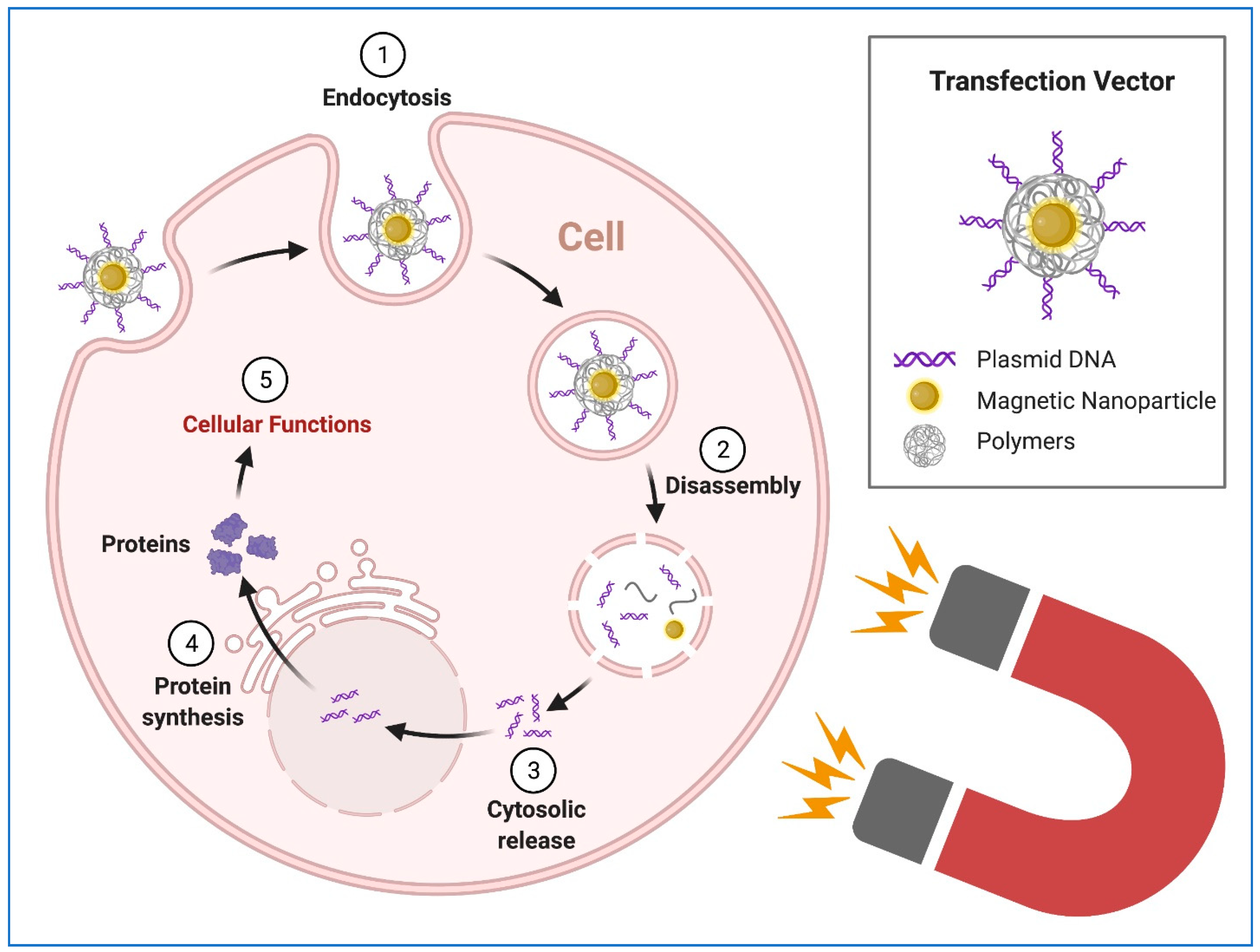 Pharmaceuticals 14 00334 g005